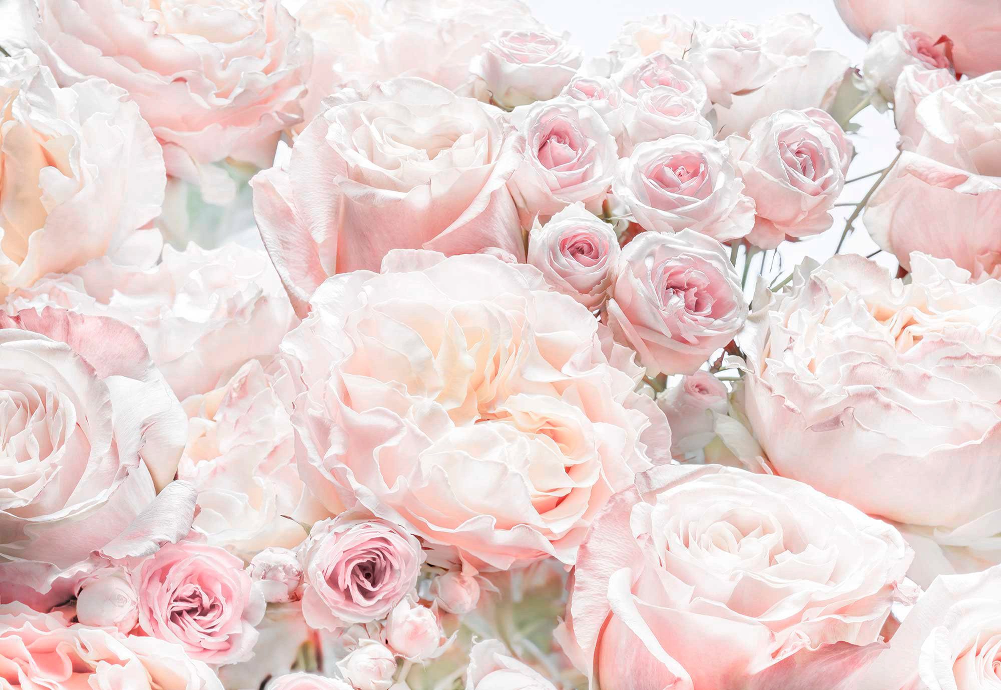 Komar Fototapete »Spring Roses«, glatt, bedruckt, Wald, geblümt, (Set), ausgezeichnet lichtbeständig-Otto