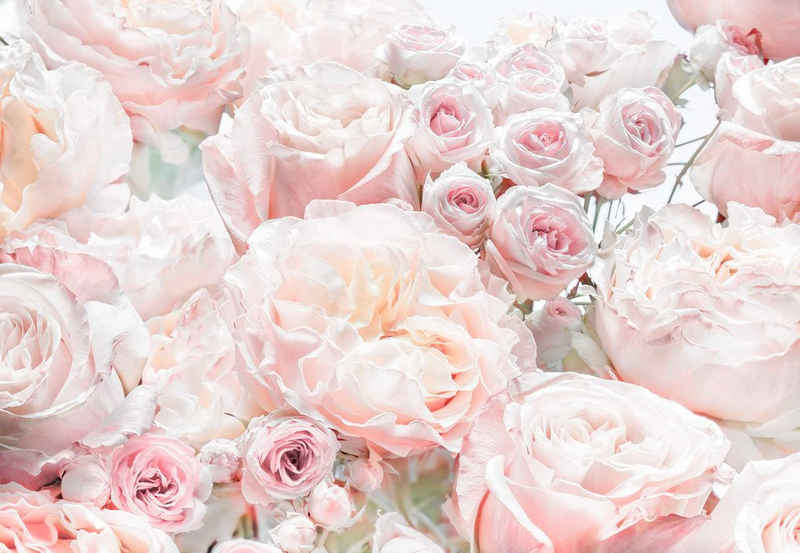 Komar Fototapete »Spring Roses«, glatt, bedruckt, Wald, geblümt, (Set), ausgezeichnet lichtbeständig