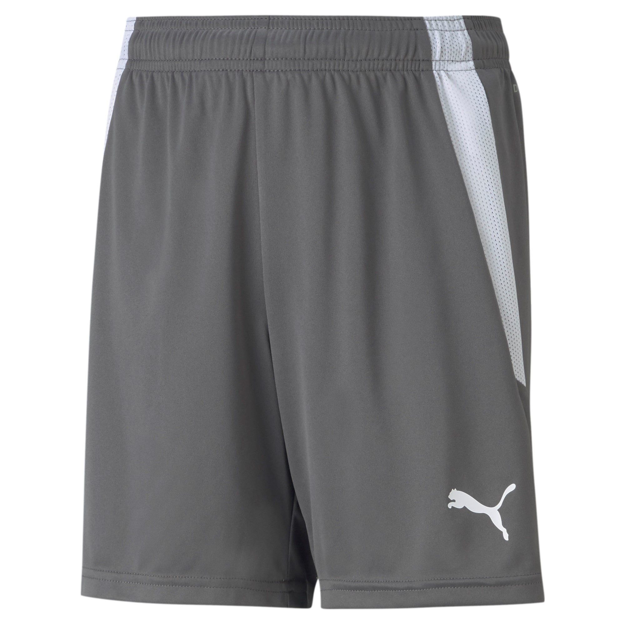 Trainingsshorts Puma Kinder Shorts teamLIGA Shorts Jr 704931