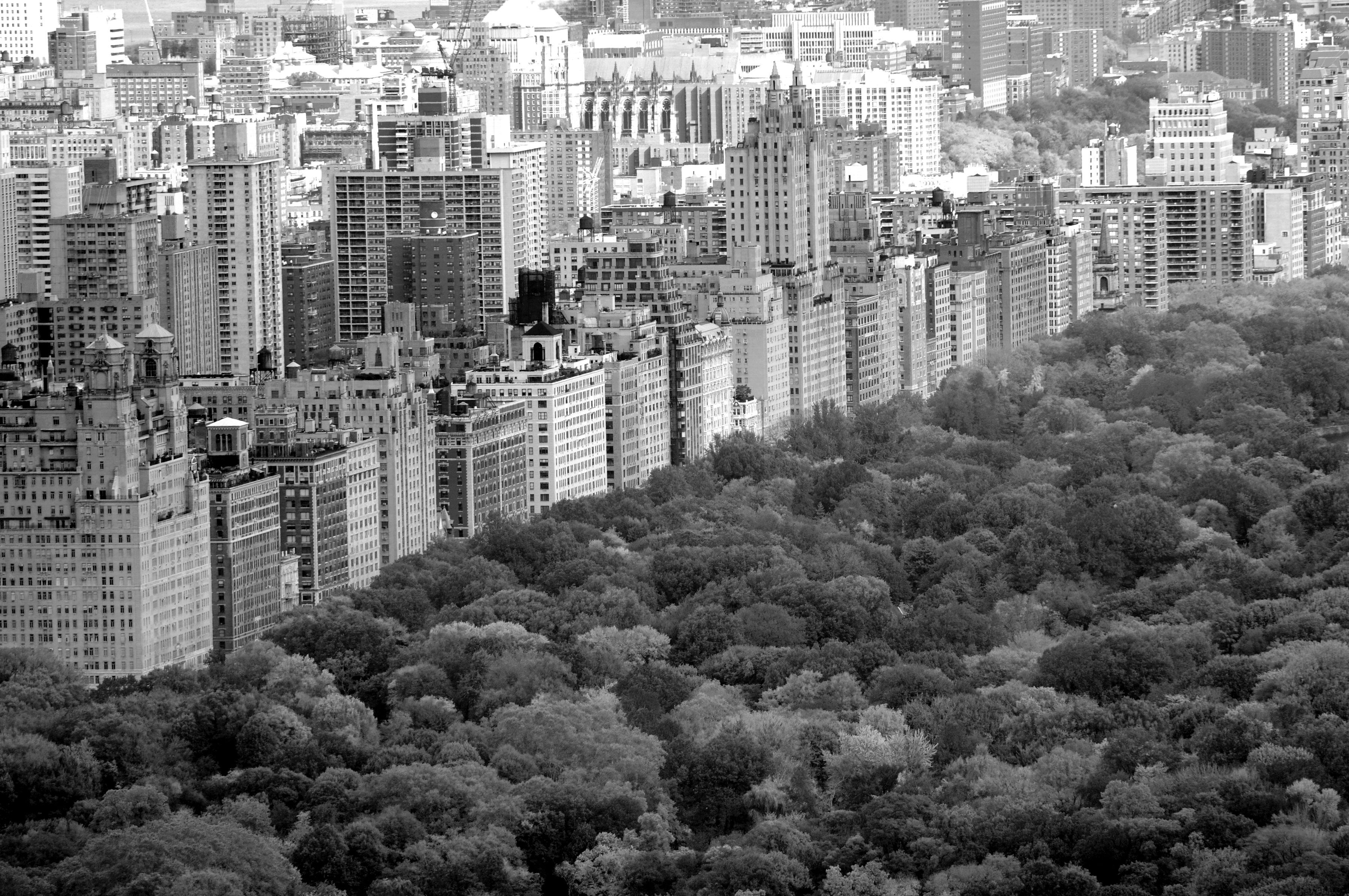 Papermoon Fototapete Central Park Schwarz & Weiß