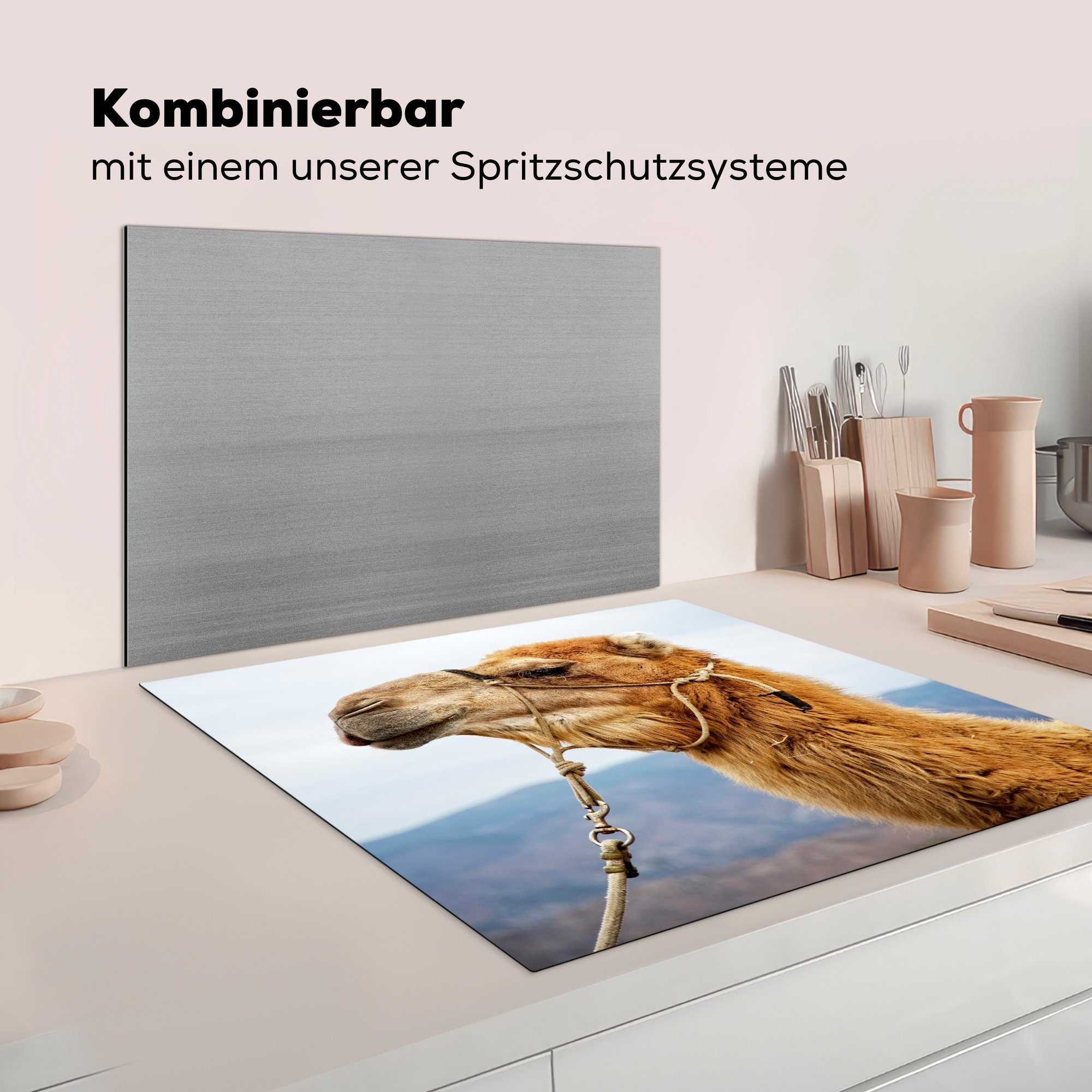 Arbeitsplatte Herdblende-/Abdeckplatte cm, 78x78 (1 MuchoWow eines Ceranfeldabdeckung, Seite tlg), Vinyl, für küche Dromedars,