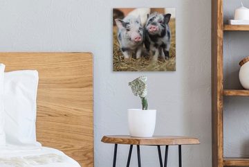 OneMillionCanvasses® Leinwandbild Schwein - Tiere - Ferkel, (1 St), Leinwand Bilder für Wohnzimmer Schlafzimmer