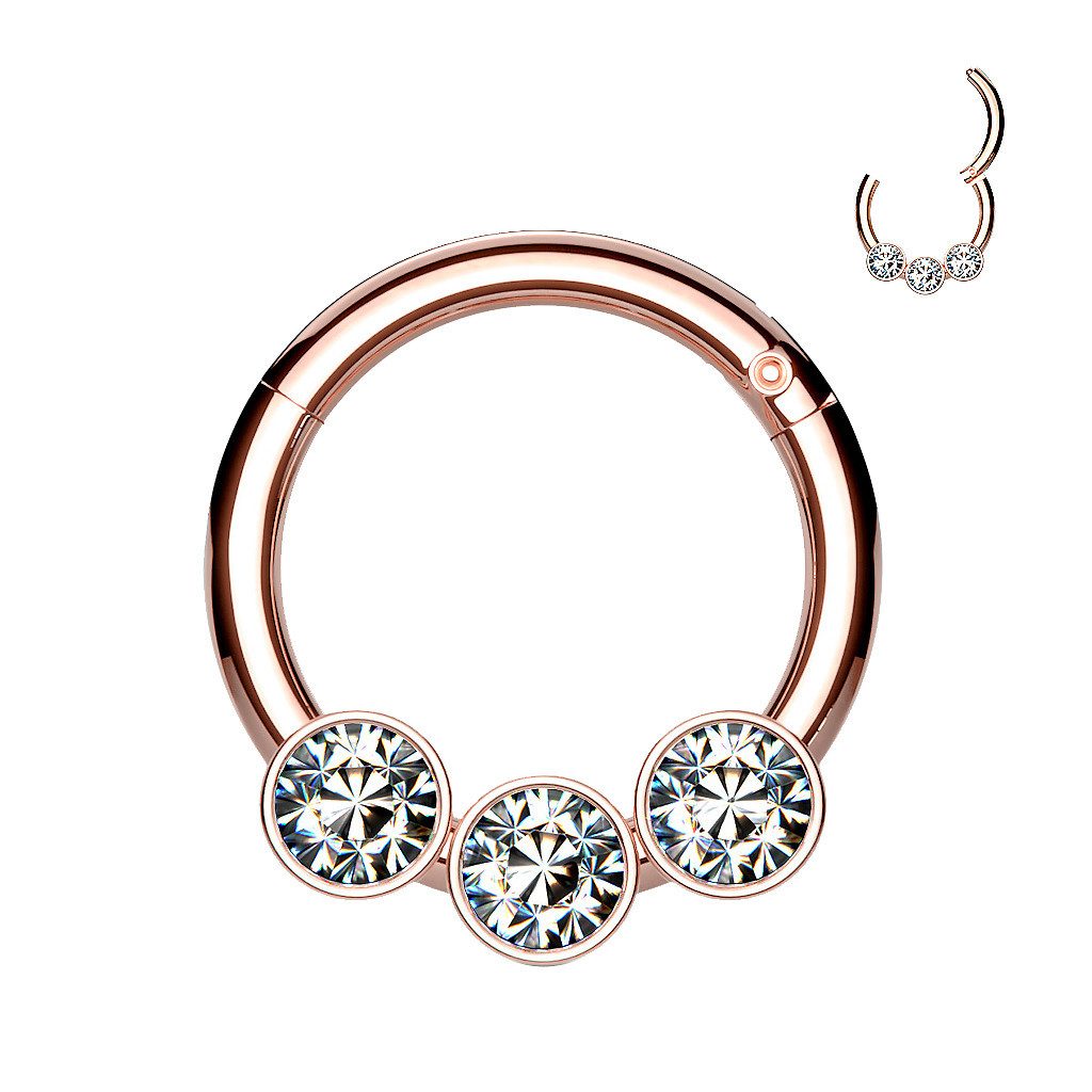 Taffstyle Nasenpiercing Septum Piercing Scharnier Ring günstig online kaufen