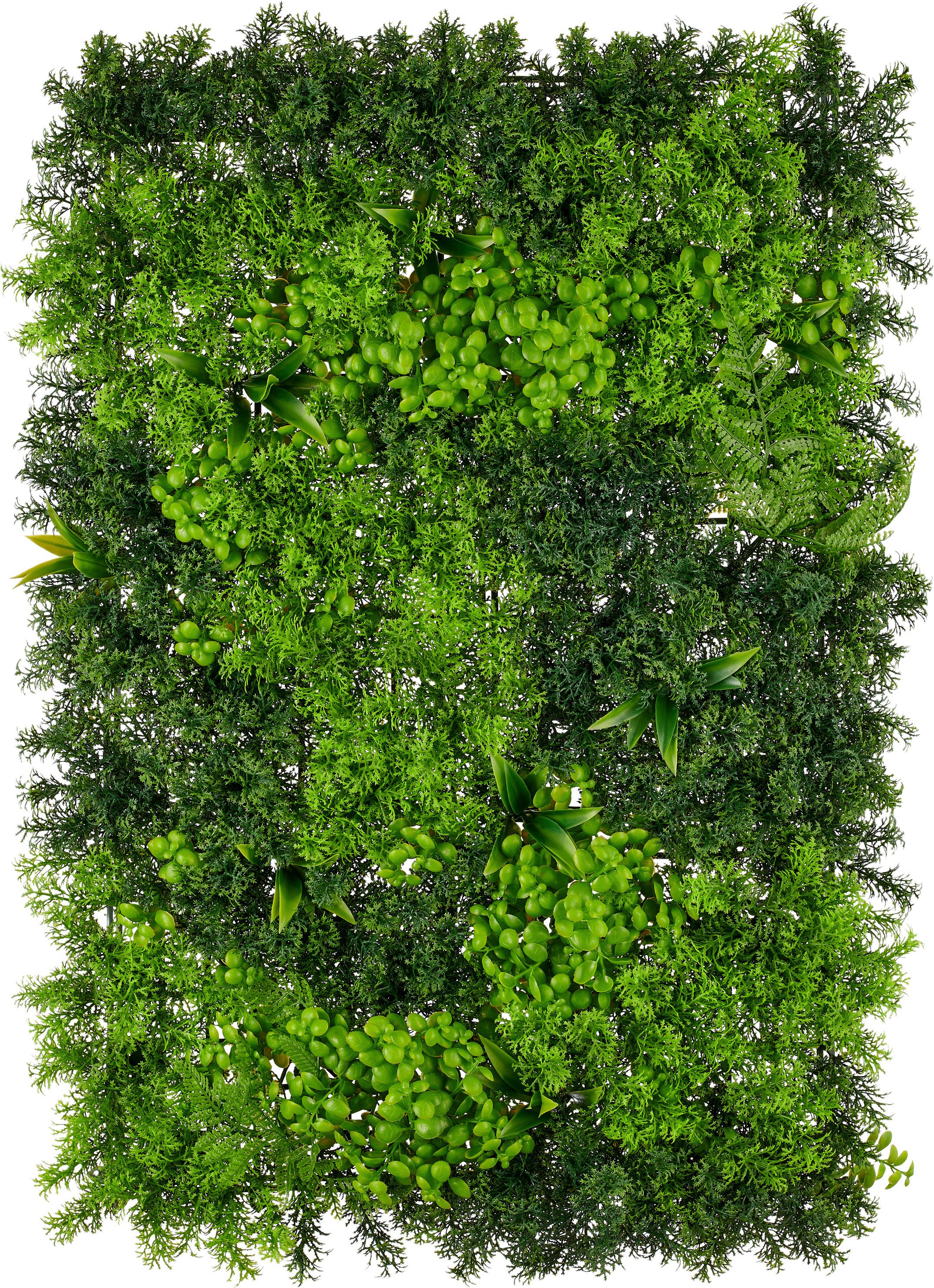 Kunstpflanze Wandmatte Moos-Farn-Mix, Creativ green, Höhe 75 cm, in UV-beständiger Ausführung