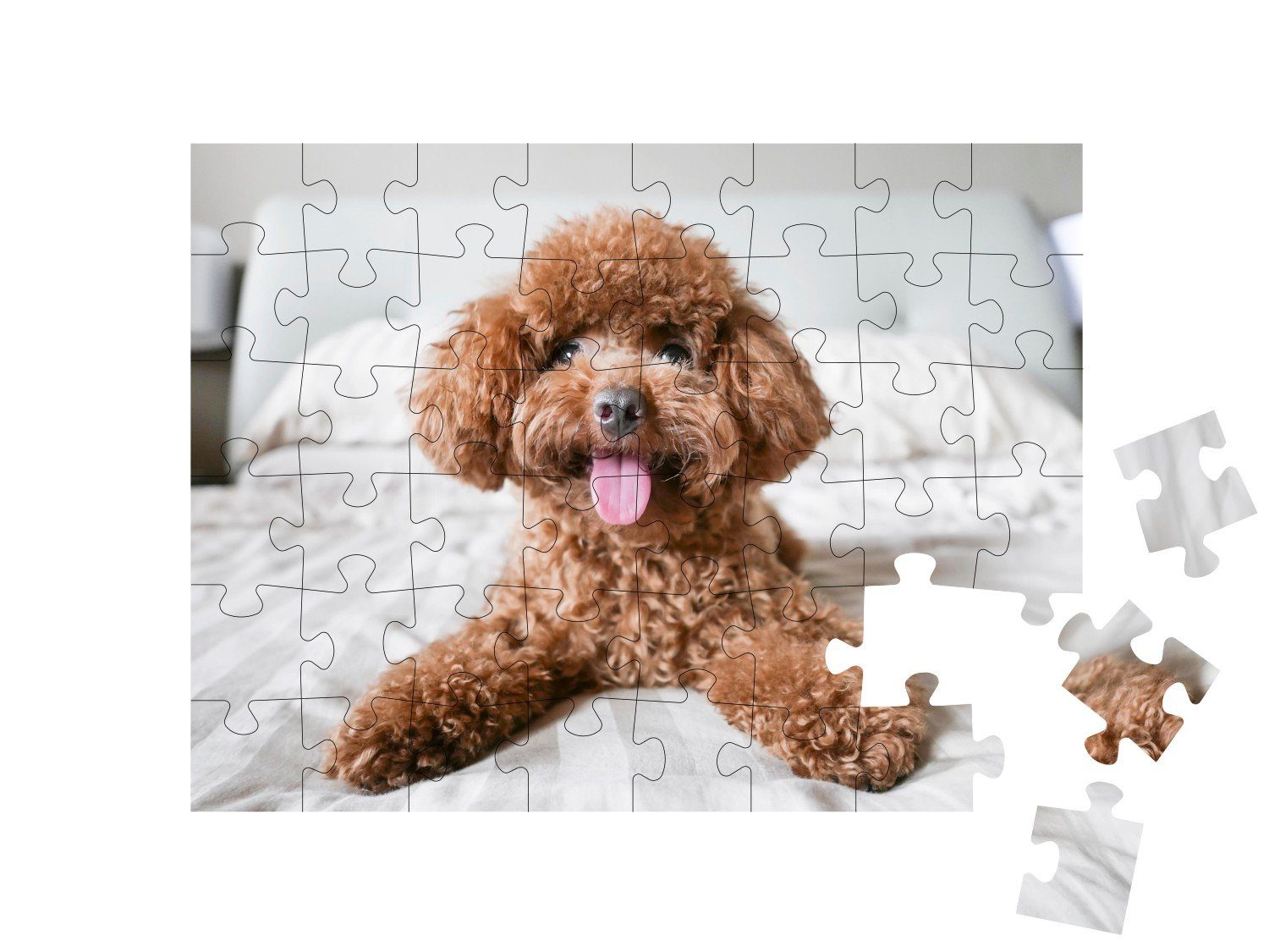 auf puzzleYOU-Kollektionen Bett, Puzzleteile, Pudel Niedlicher dem puzzleYOU Puzzle 48 Toy-Pudel