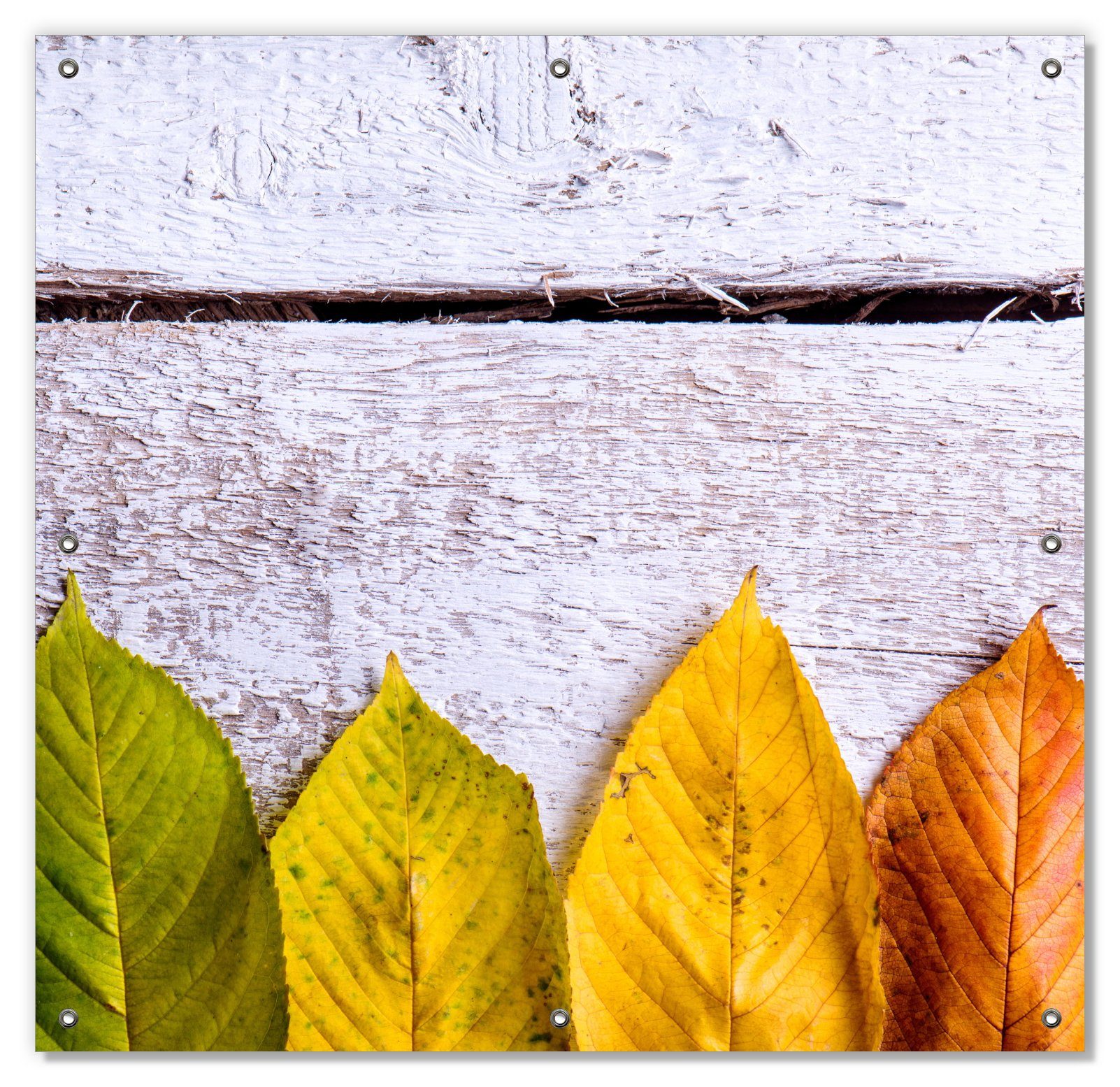 Sonnenschutz Bunte Herbstblätter auf hellem Holz, Wallario, blickdicht, mit Saugnäpfen, wiederablösbar und wiederverwendbar