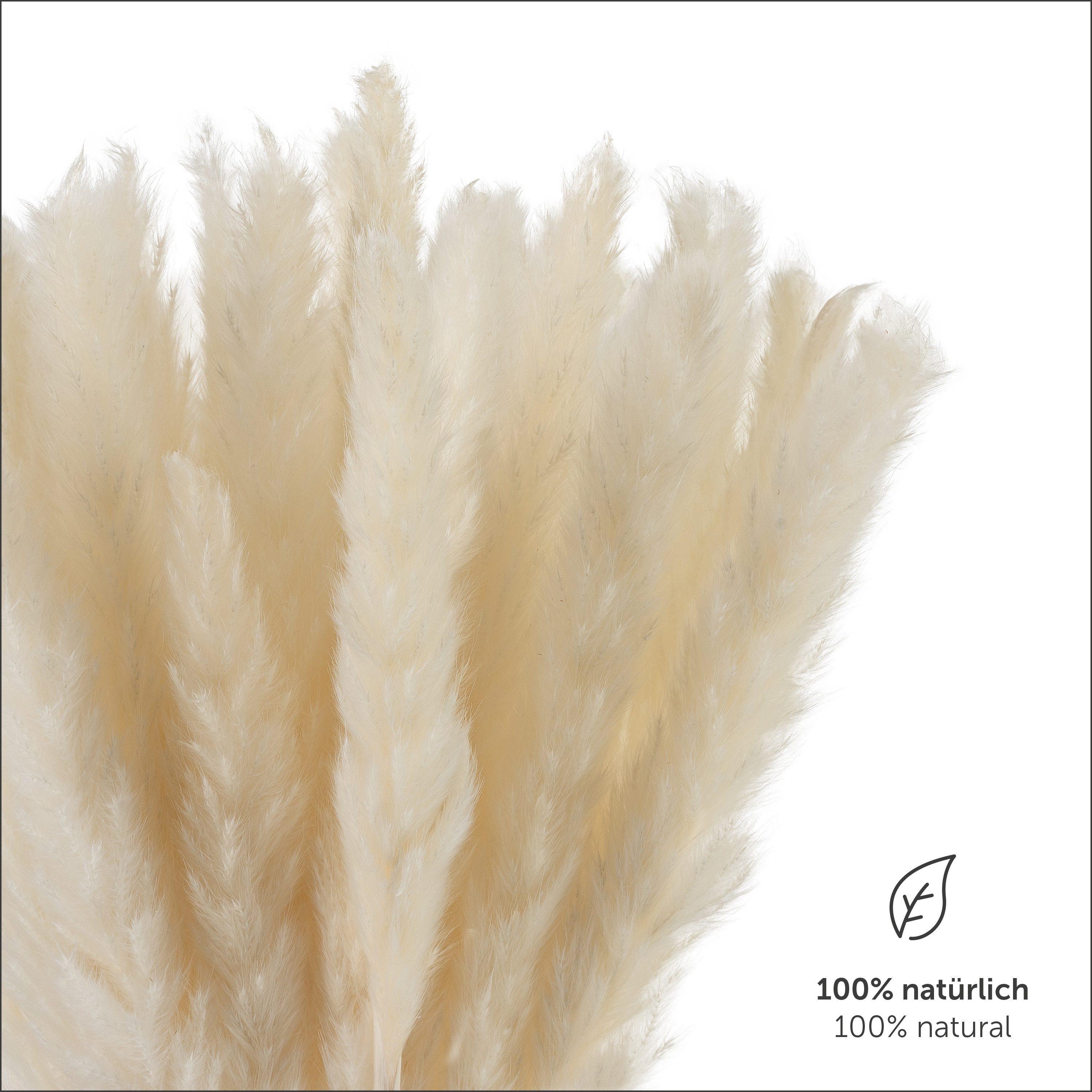 Kunstpflanze getrocknet - Trockenblumen, Ideales Dekoelement Pampasgras, Bl günstig online kaufen