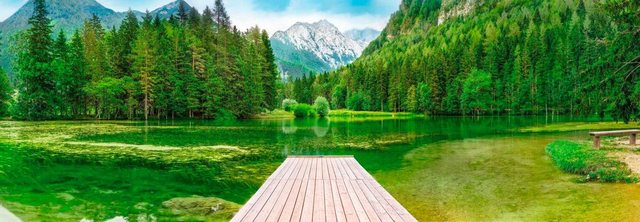 Komar Fototapete »Green Lake«, glatt, bedruckt, Wald, Meer, (Set), ausgezeichnet lichtbeständig-Otto
