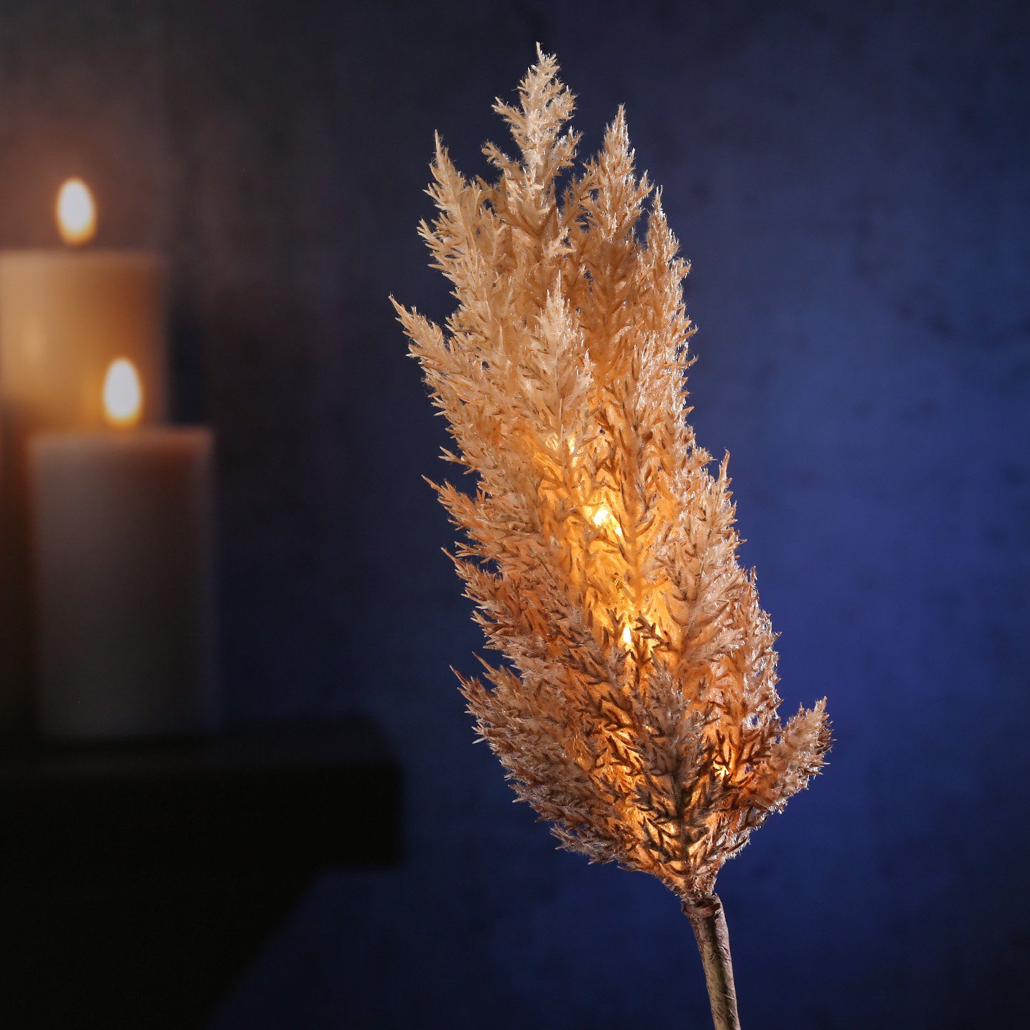 MARELIDA LED-Leuchtzweig LED Zweig Pampasgras Herbstdeko günstig online kaufen