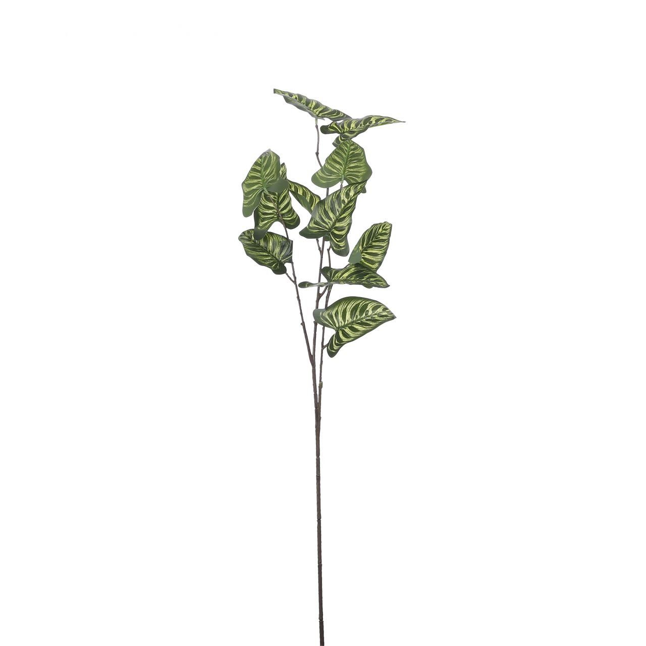 Kunstpflanze Mica Syngonium Zweig 78 cm, Mica Decorations