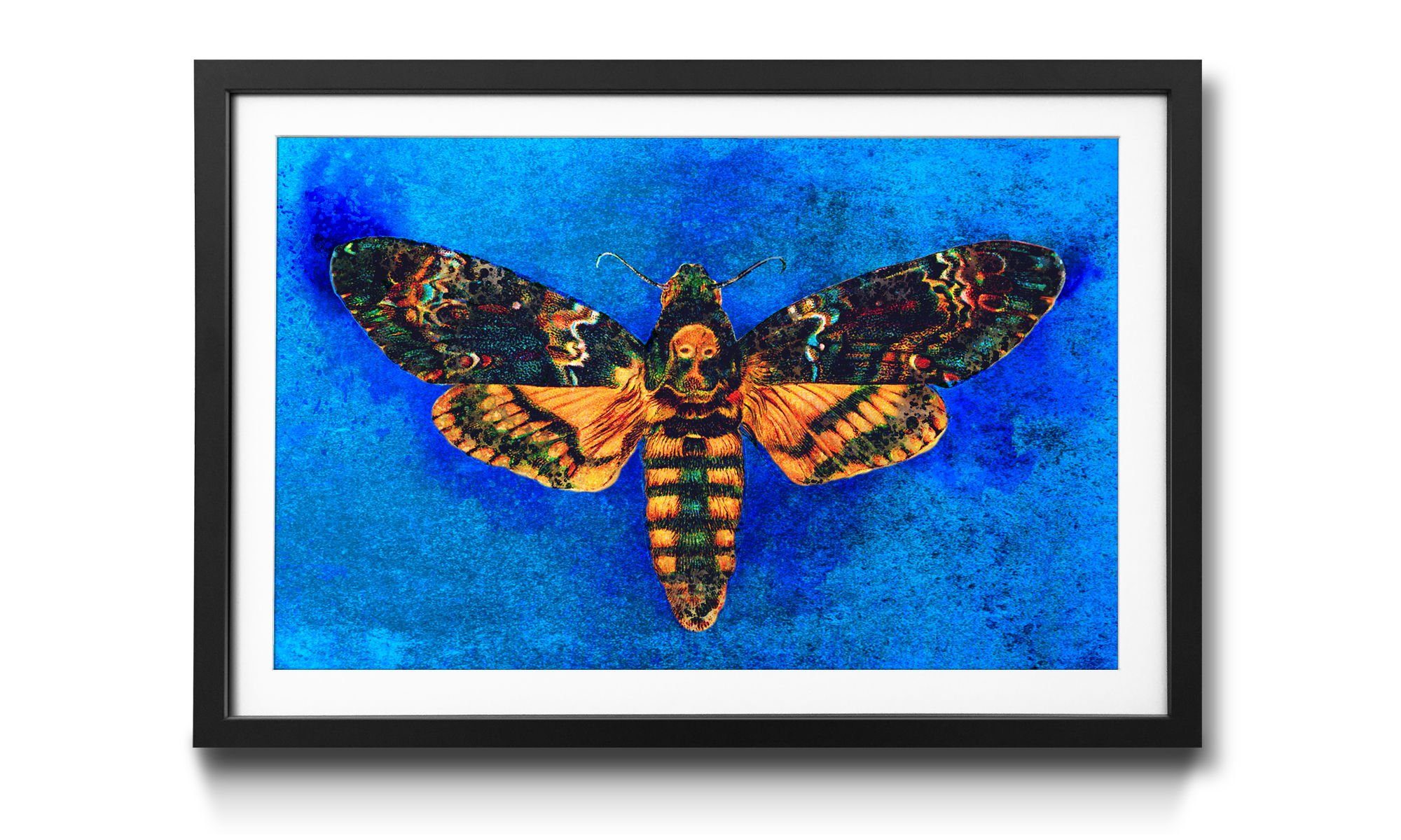 WandbilderXXL Bild mit Rahmen Hannibal, Schmetterling, Wandbild, in 4 Größen erhältlich
