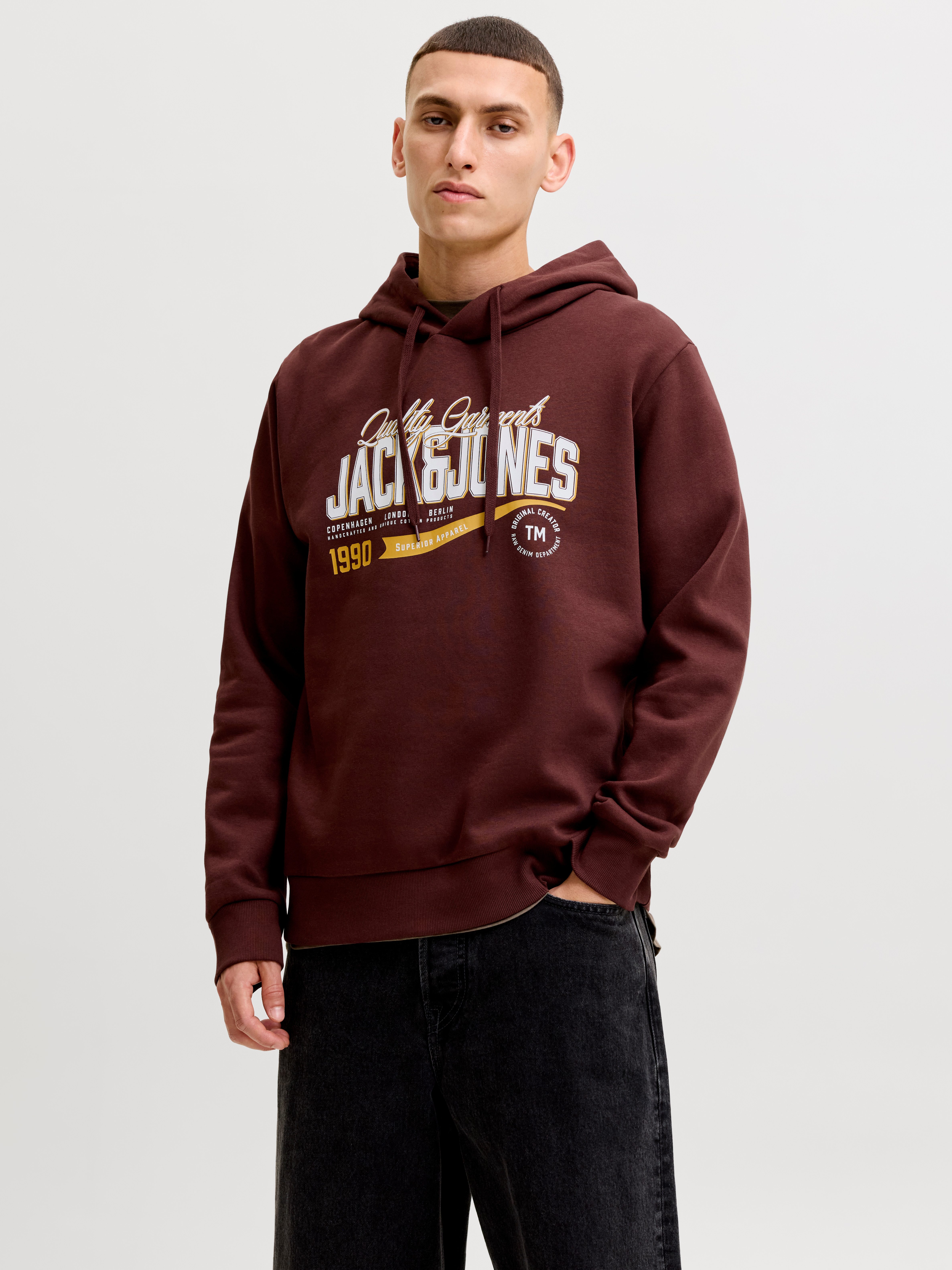 Jack & Jones Kapuzensweatshirt JJELOGO SWEAT HOOD 2 COL AW26 SN Baumwollmischung, regular fit