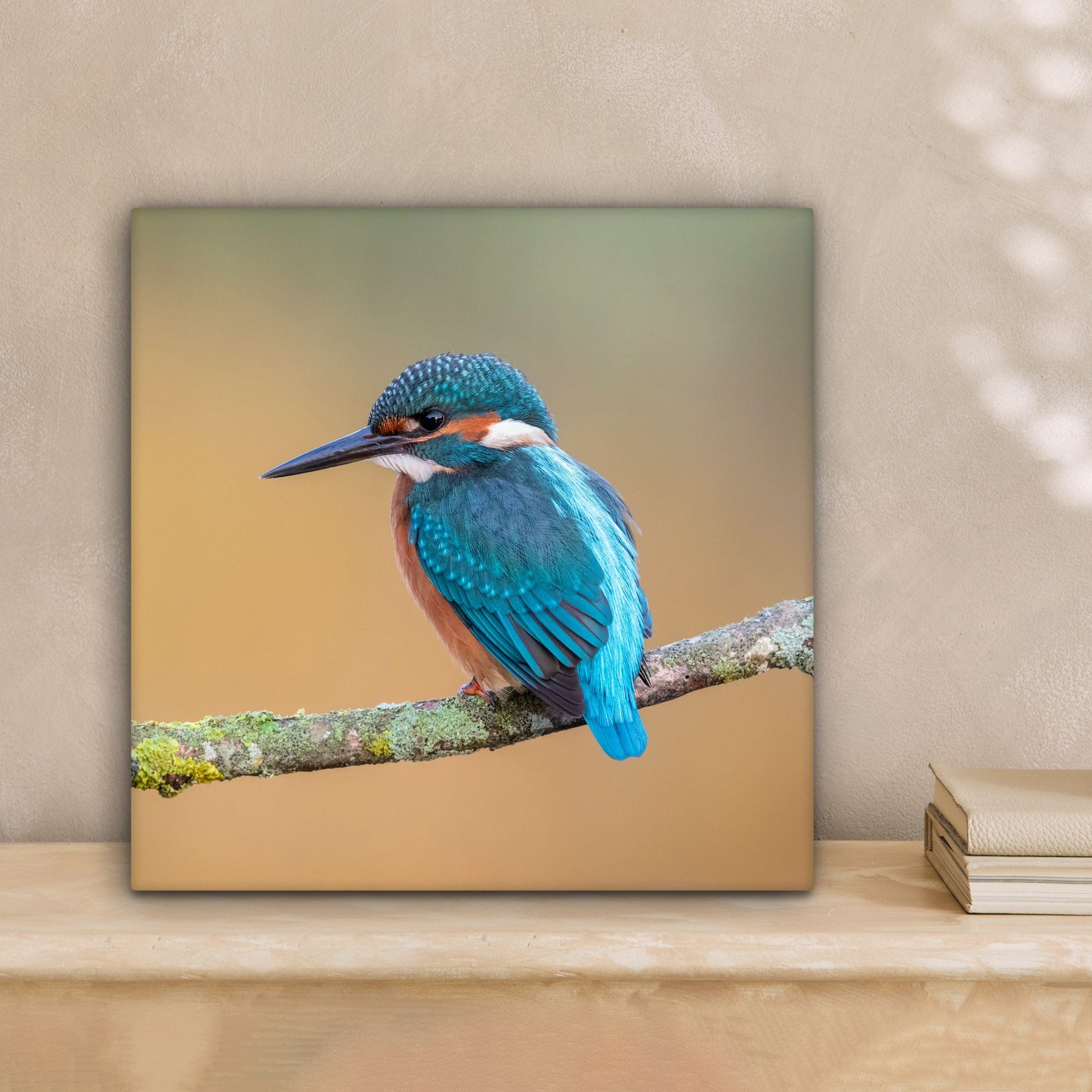 OneMillionCanvasses® Leinwandbild Vogel - Eisvogel - Tiere - Zweig, Fotodru günstig online kaufen