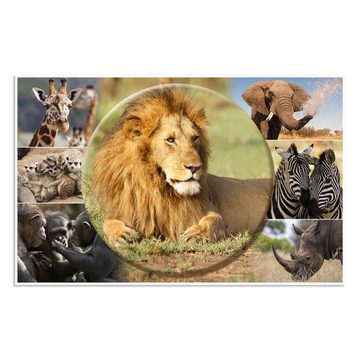 HERMA Schreibtischunterlage Afrika Tiere 55x35cm