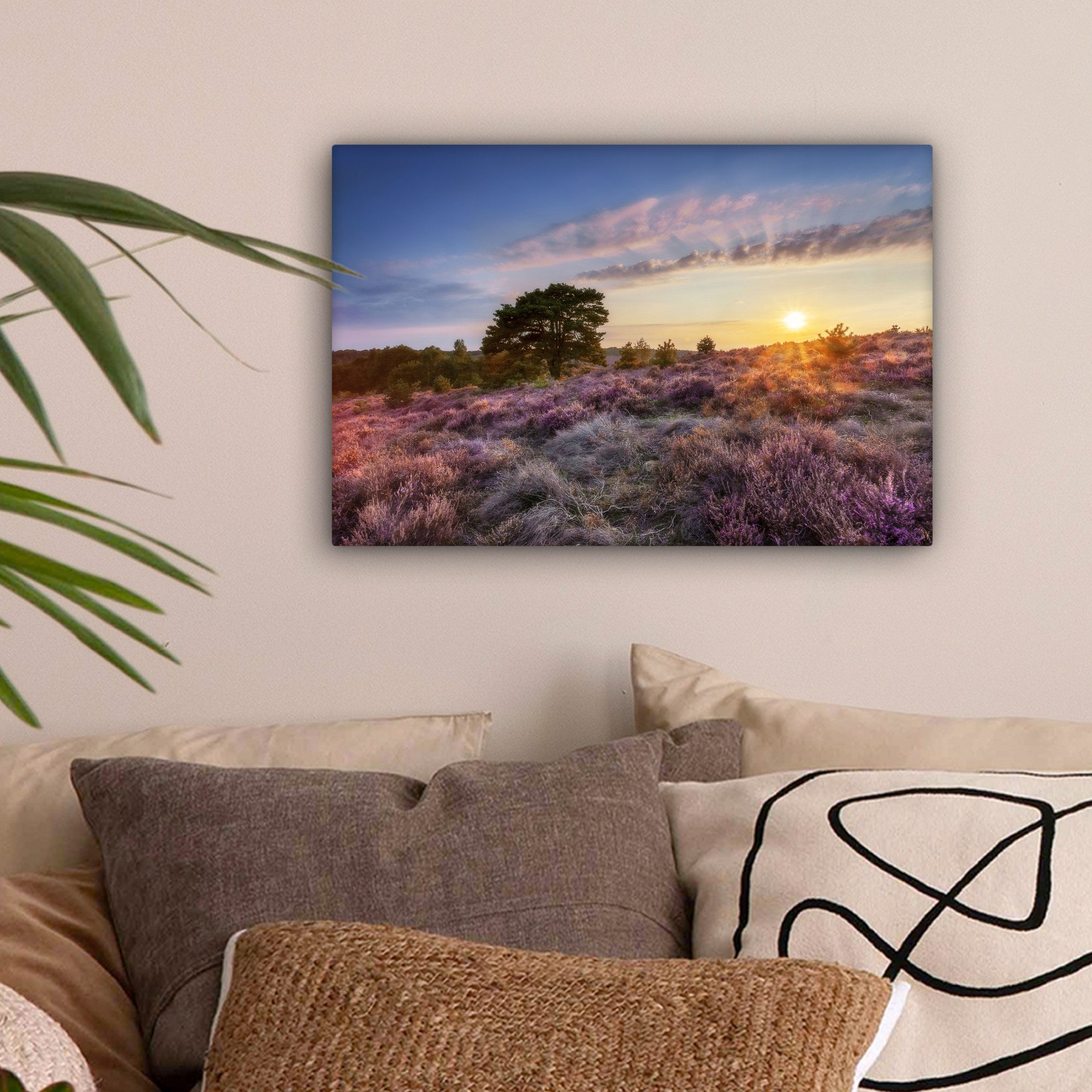 OneMillionCanvasses® Leinwandbild Heide bei Sonnenuntergang, Fotodruck günstig online kaufen