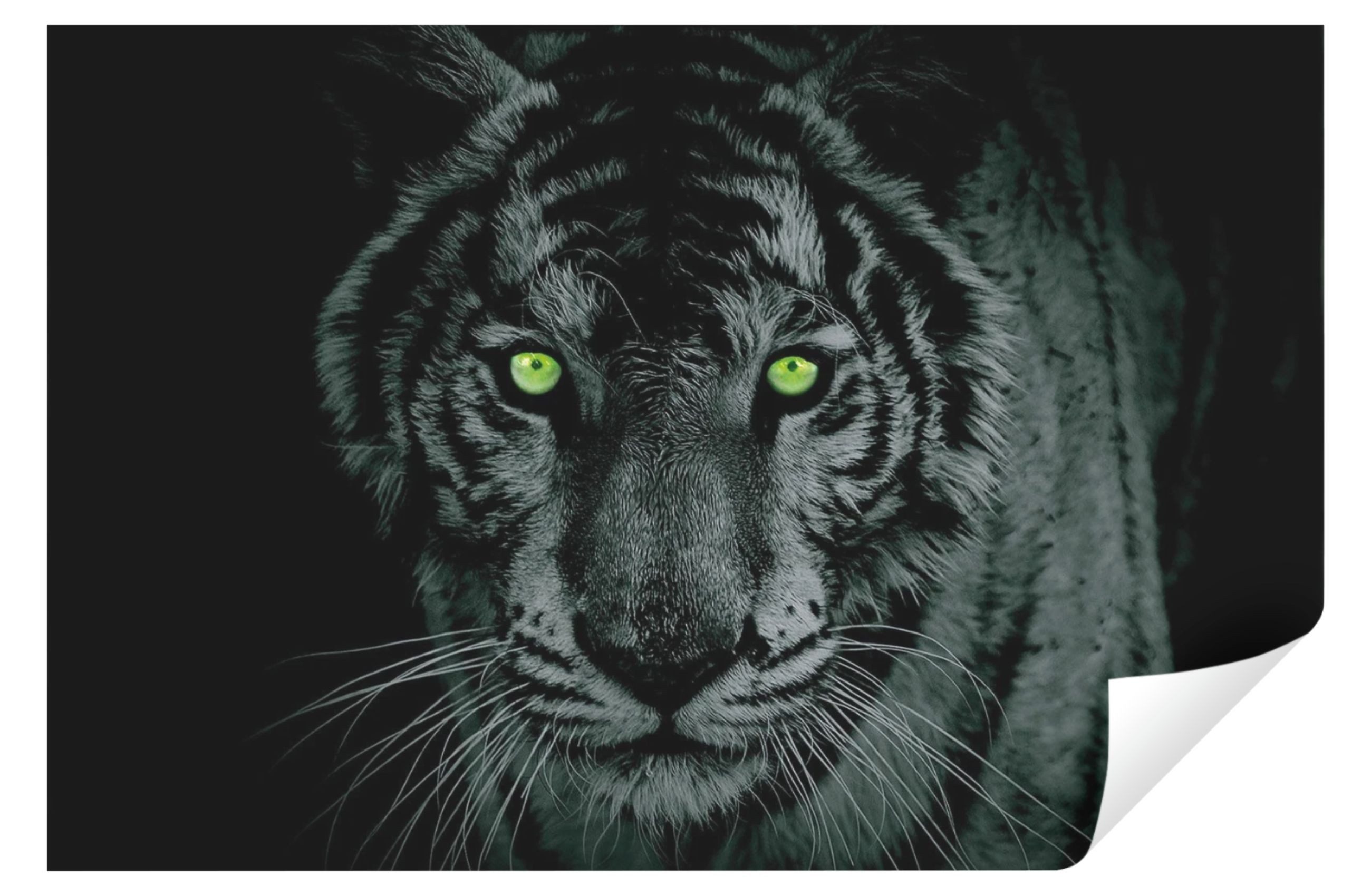 Fototapete Tiger Tiere schwarz weiß Vlies Tapete Wohnzimmer Schlafzimmer