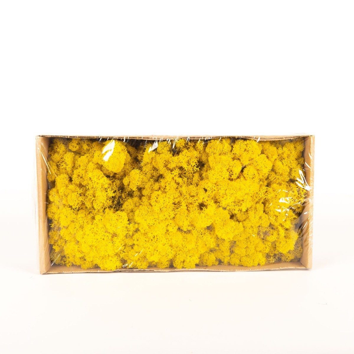 INNA-Glas Moos Dekoratives Moos SVEINBJÖRN, zitronengelb, 500g