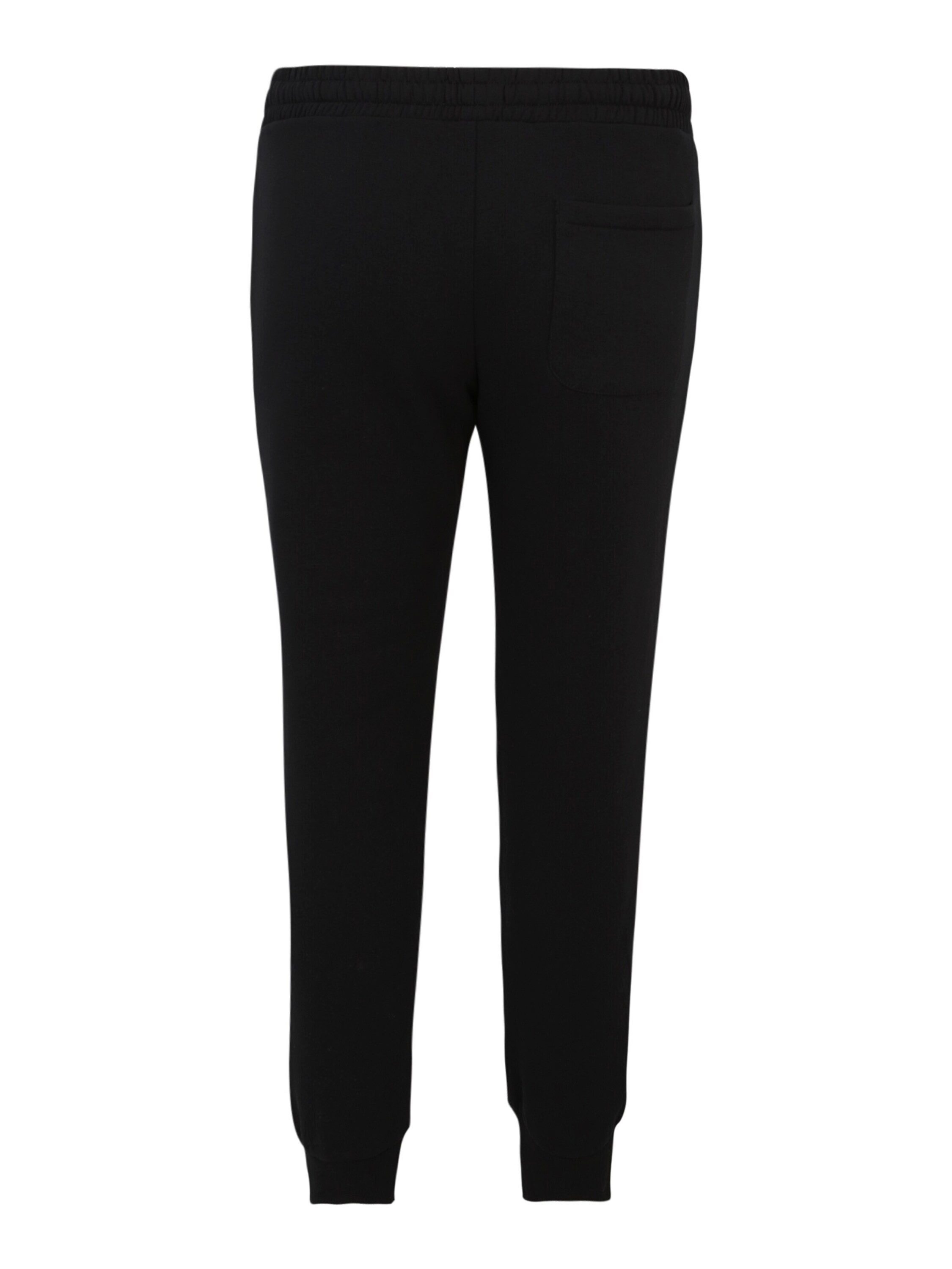 Jack & Jones PlusSize Sweathose JPSTGordon JJBradley (1-tlg) günstig online kaufen