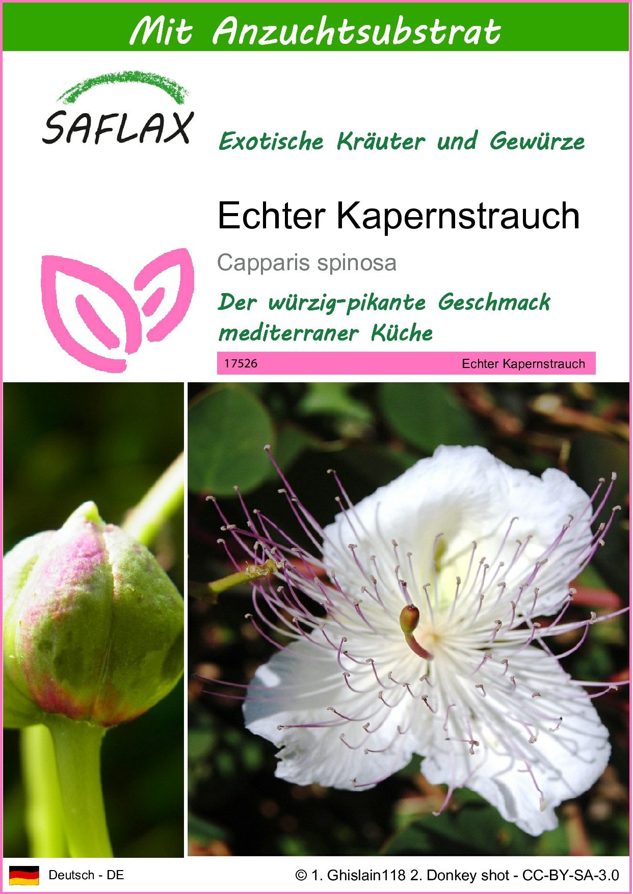 SAFLAX Kräutersamen SAFLAX - Samen und Substrat - Echter Kapernstrauch