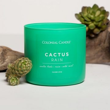 COLONIAL CANDLE Duftkerze Duftkerze Cactus Rain - 411g (1.tlg)