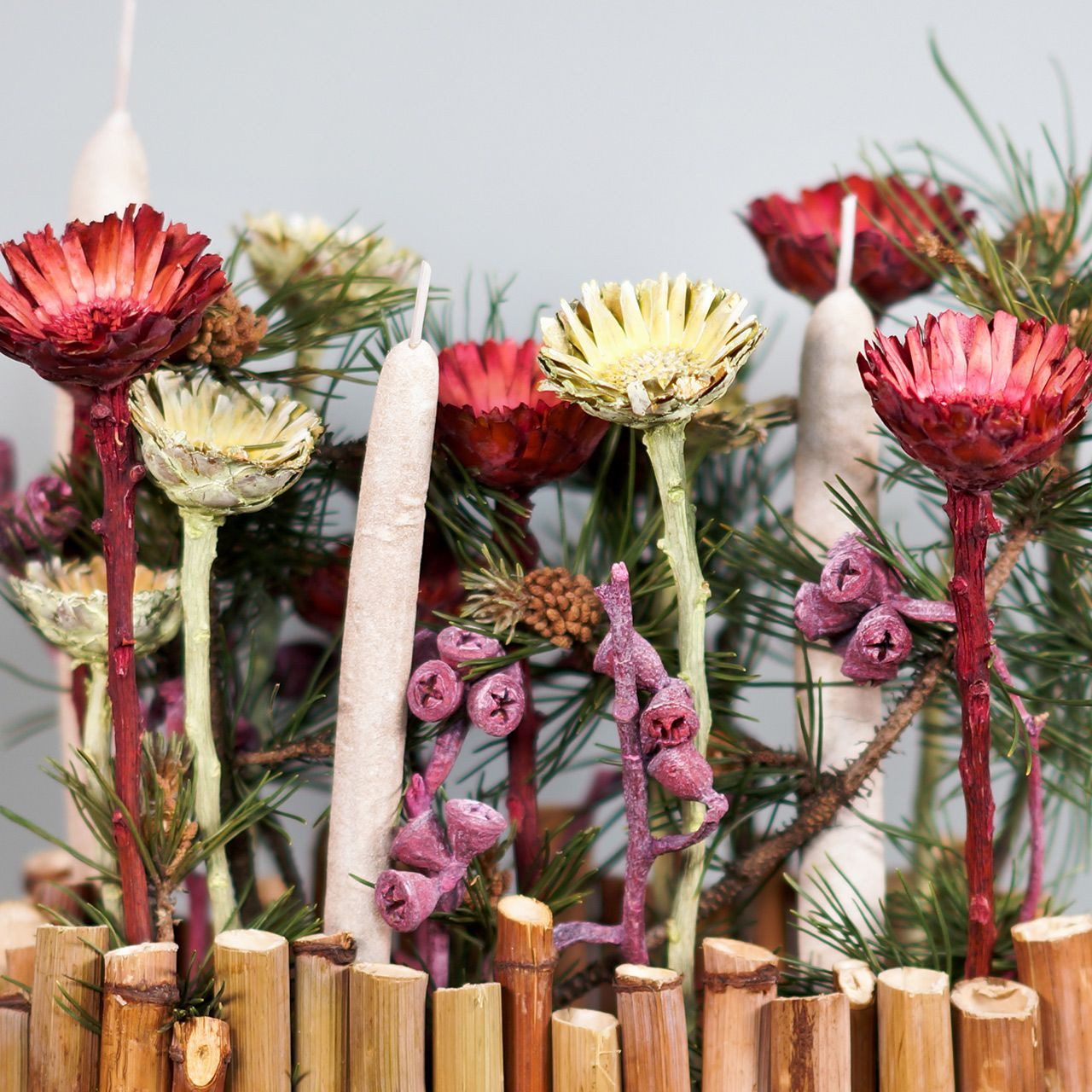 Trockenblume Exotische Compacta Protea Rosette Rot, Kunst-Deko-Blüten, 40, 40 Stück, Florists Products, Höhe 6.5 cm