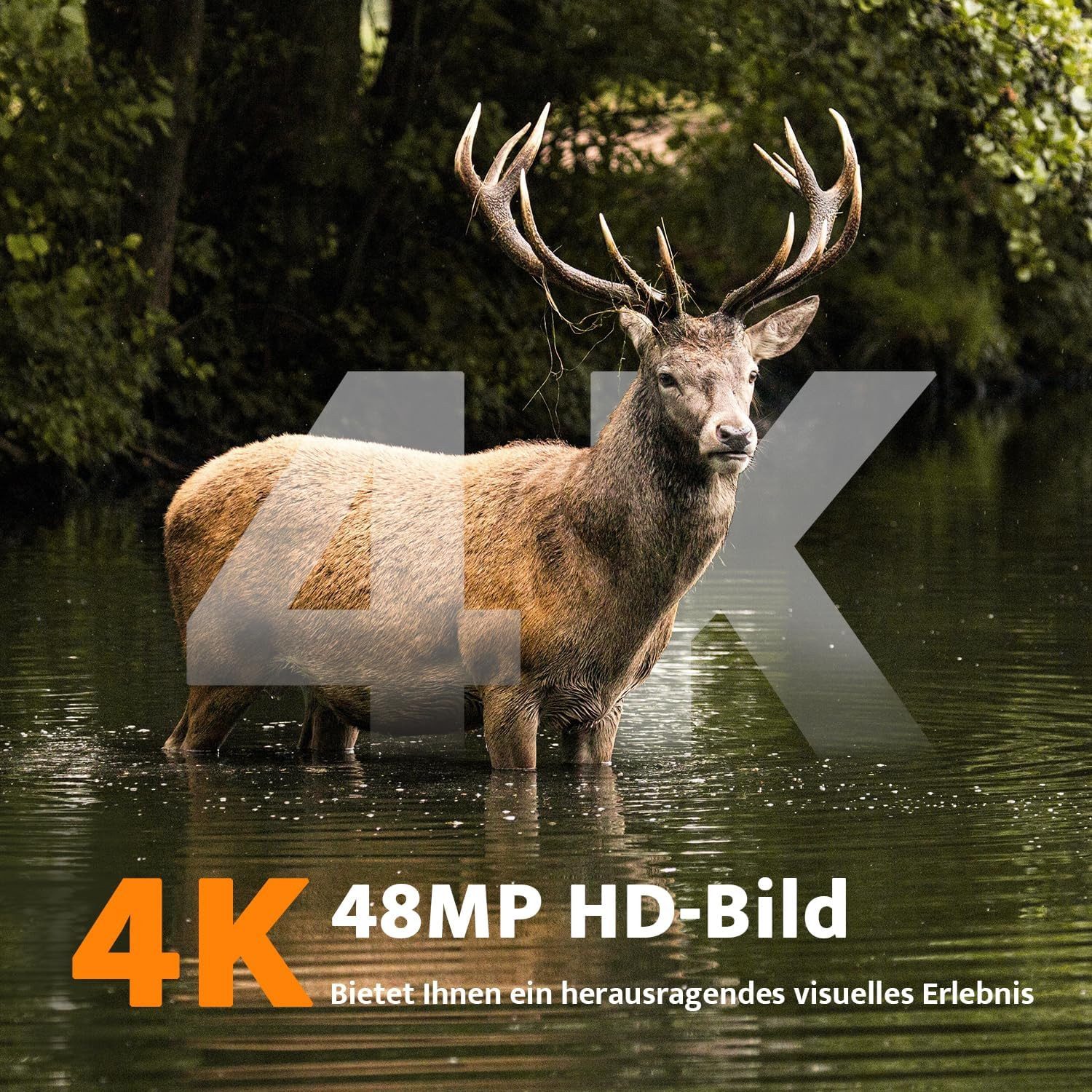 Usogood Wildkamera Solar Wildkamera 4K 48MP Wildtierkamera mit 32GB Karte (Für Garten Haustierüberwachung, Spiele und Trail Outdoor -Sicherhei, Jagdkamera mit 1 – Bild 5 von 5