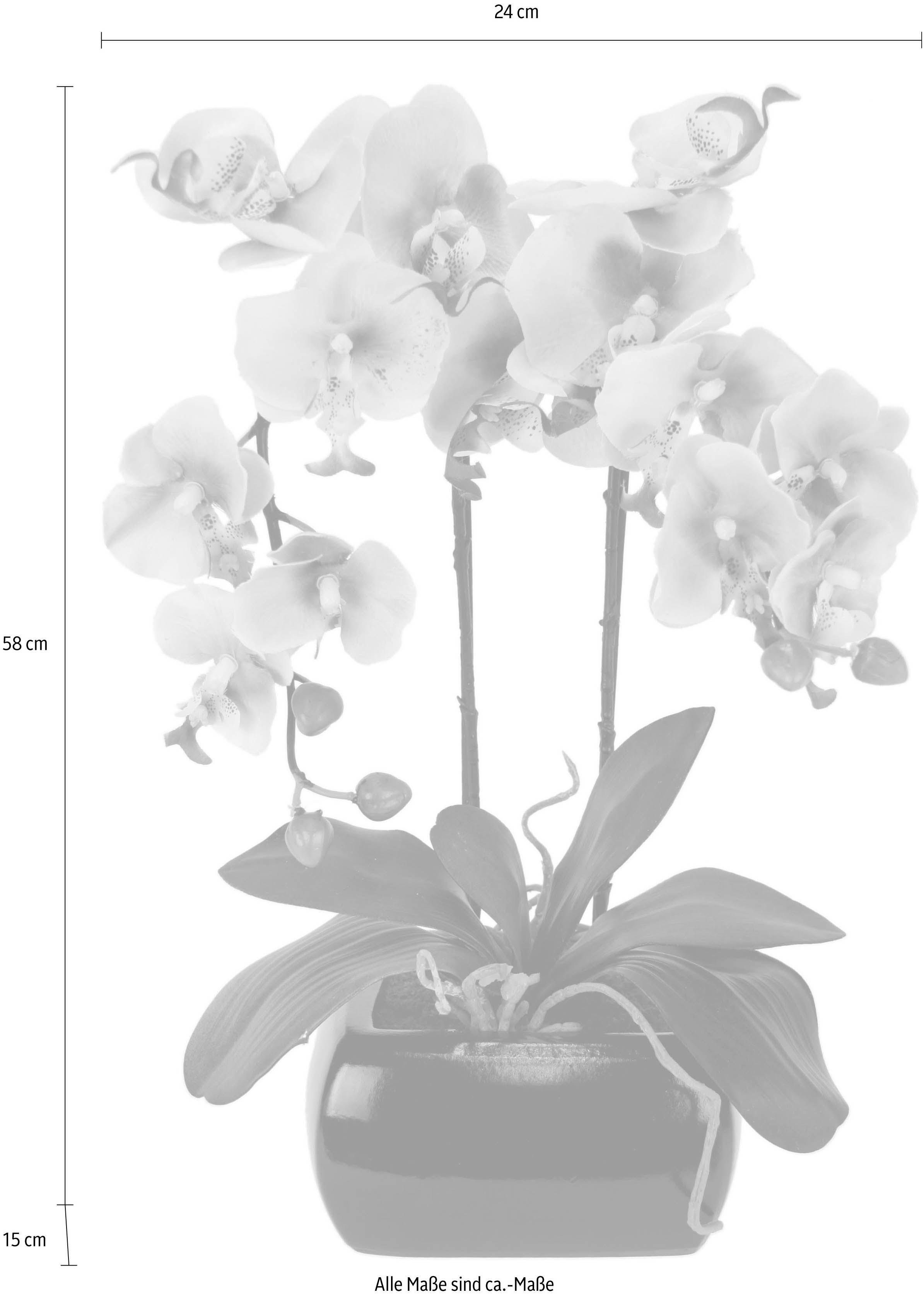 Kunstpflanze Phalaenopsis, I.GE.A., Höhe 58 cm günstig online kaufen