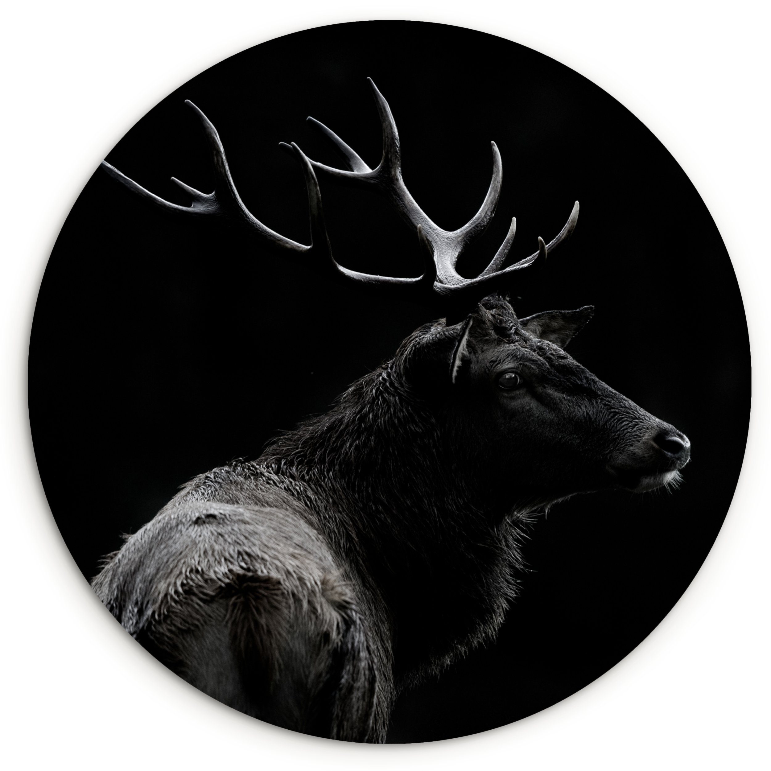 MuchoWow Gemälde Hirsch - Schwarz - Porträt - Geweih - Tiere, Fotodruck (1 günstig online kaufen