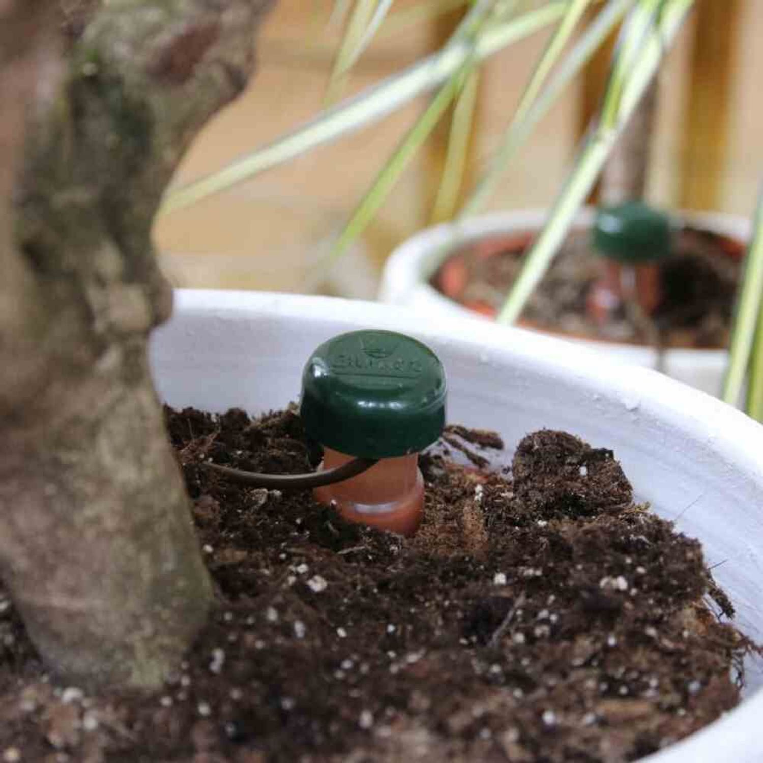 Blumat Bewässerungssystem Bewässerungsautomat einzeln