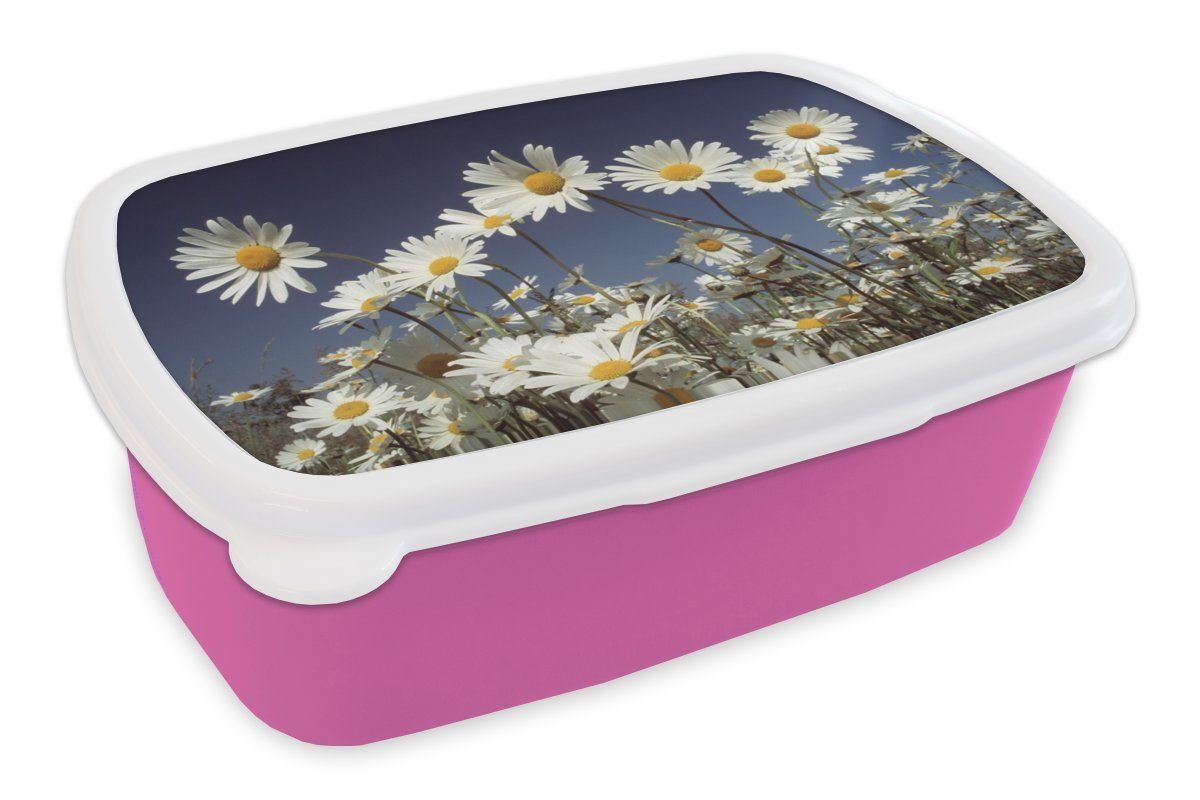 MuchoWow Lunchbox Feld mit Gänseblümchen, Kunststoff, (2-tlg), Brotbox für Erwachsene, Brotdose Kinder, Snackbox, Mädchen, Kunststoff rosa