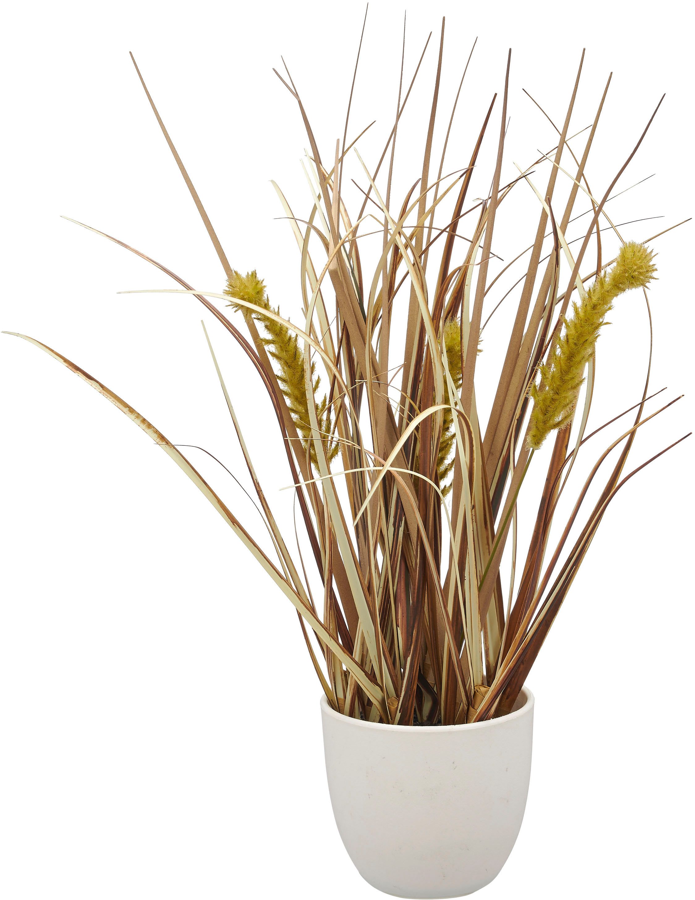 Kunstgras Grasbusch Düne, Creativ green, Höhe günstig online kaufen