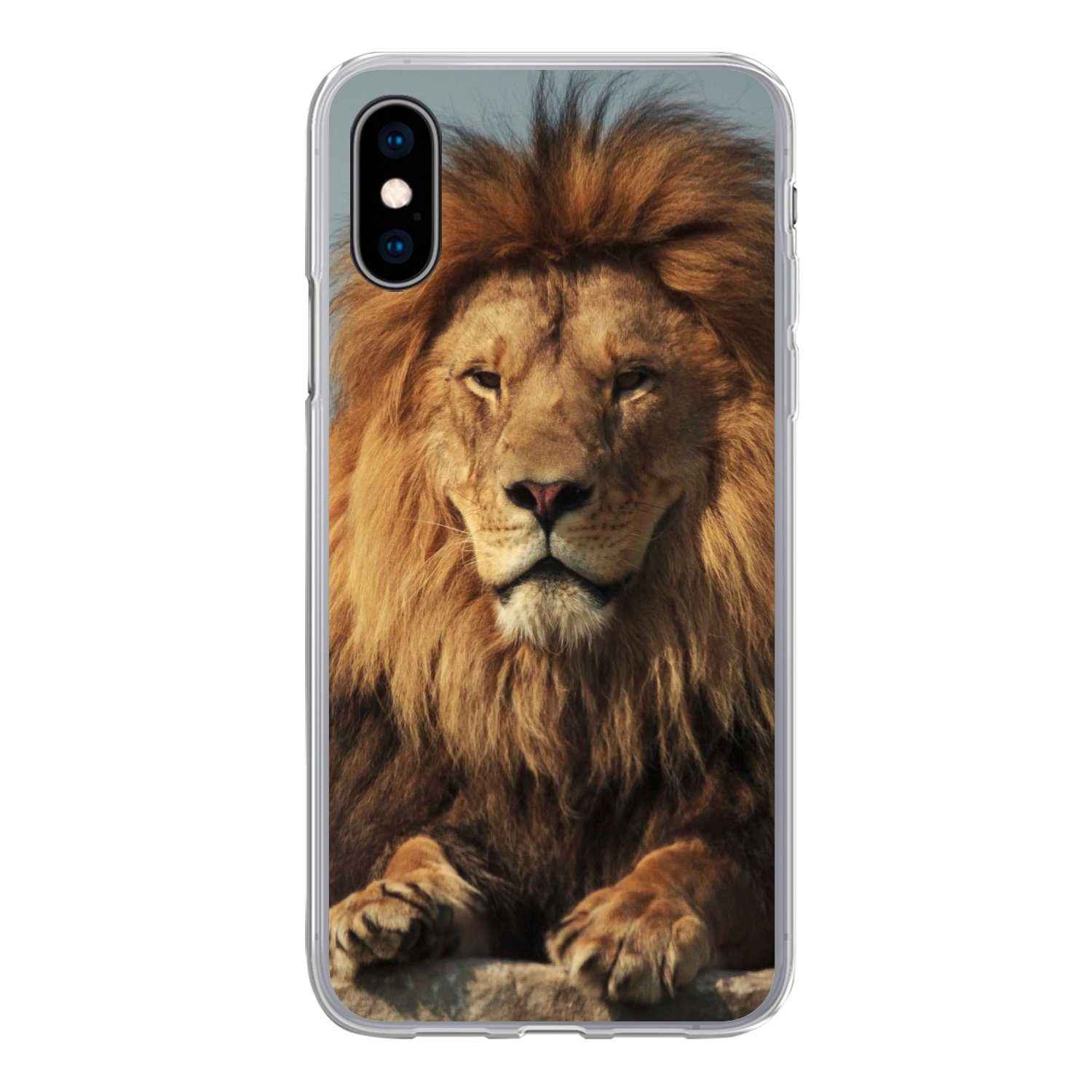 MuchoWow Handyhülle für Apple iPhone X Löwe - Felsen - Porträt, Smartphone-Bumper, Print, Handy Schutzhülle Dünn