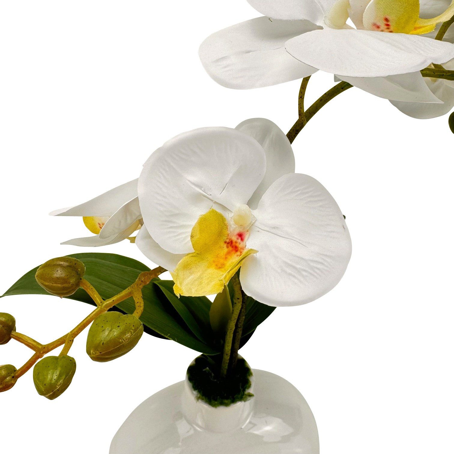 Kunstblume - Künstliche Blumen, Pflanzen im Topf, runde Vase - wie echt - O günstig online kaufen