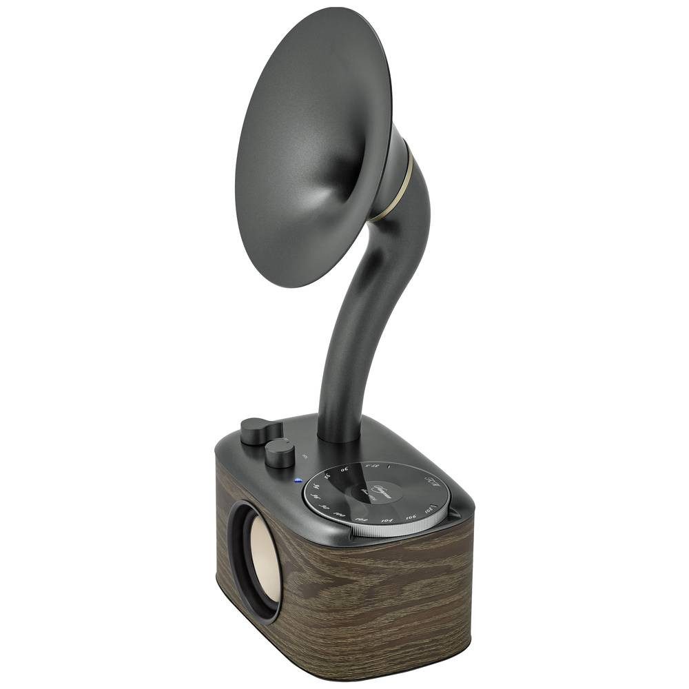 Sangean UKW-Radio A500432 Radio (wiederaufladbar)