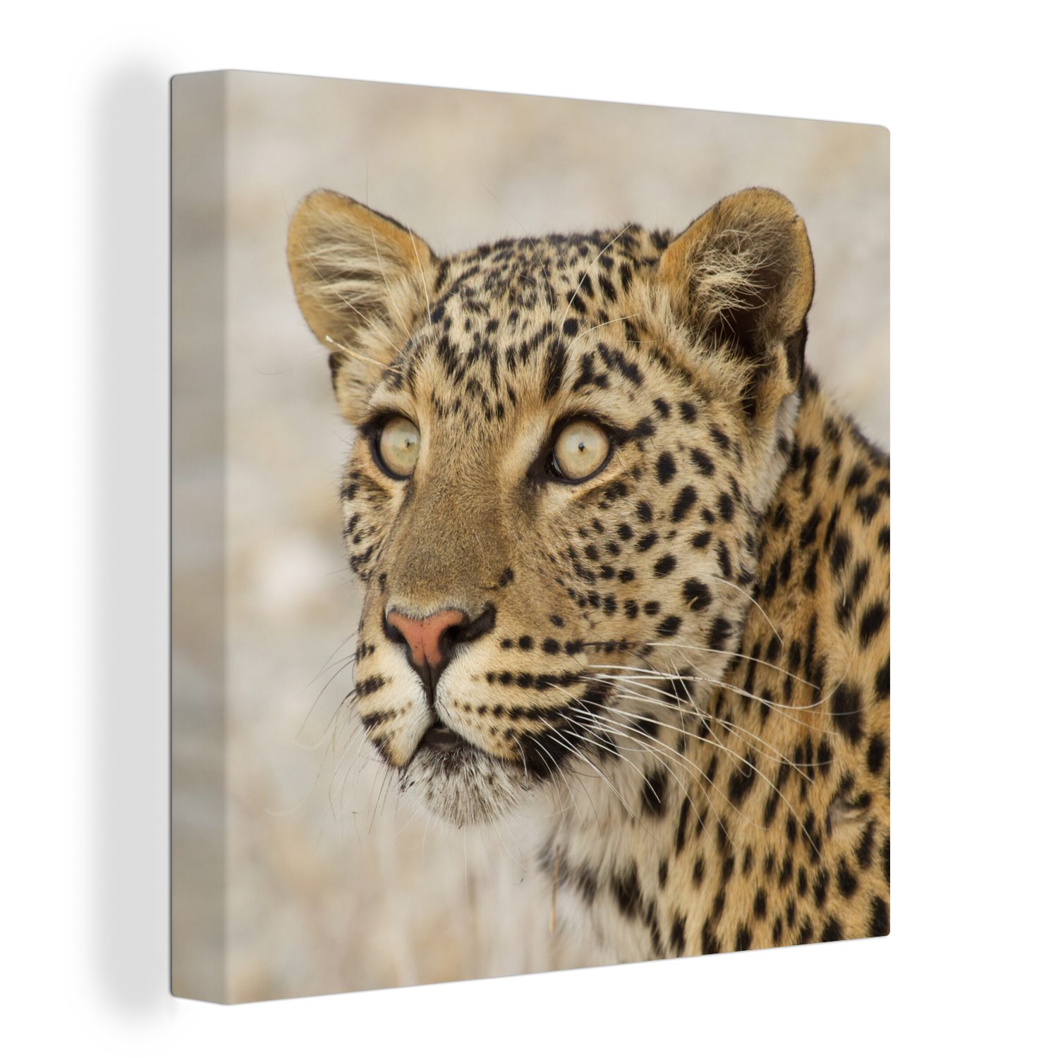 OneMillionCanvasses® Leinwandbild Leopard - Makro - Braun, (1 St), Leinwand Bilder für Wohnzimmer Schlafzimmer