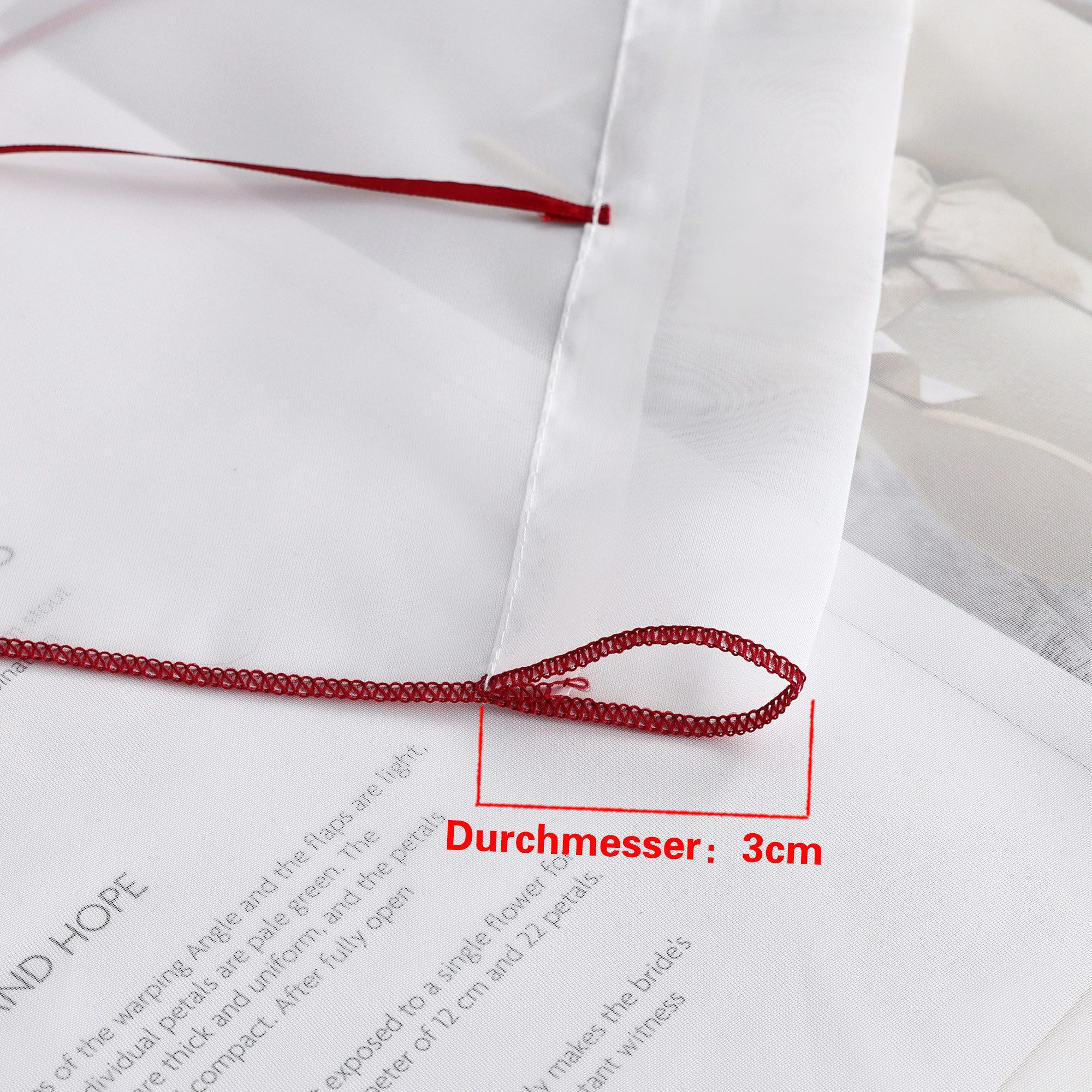 Joyswahl Raffrollo, mit Stangendurchzug, mit Schicker dreieckiger Saum, Voile Stickerei Bändchenrollo