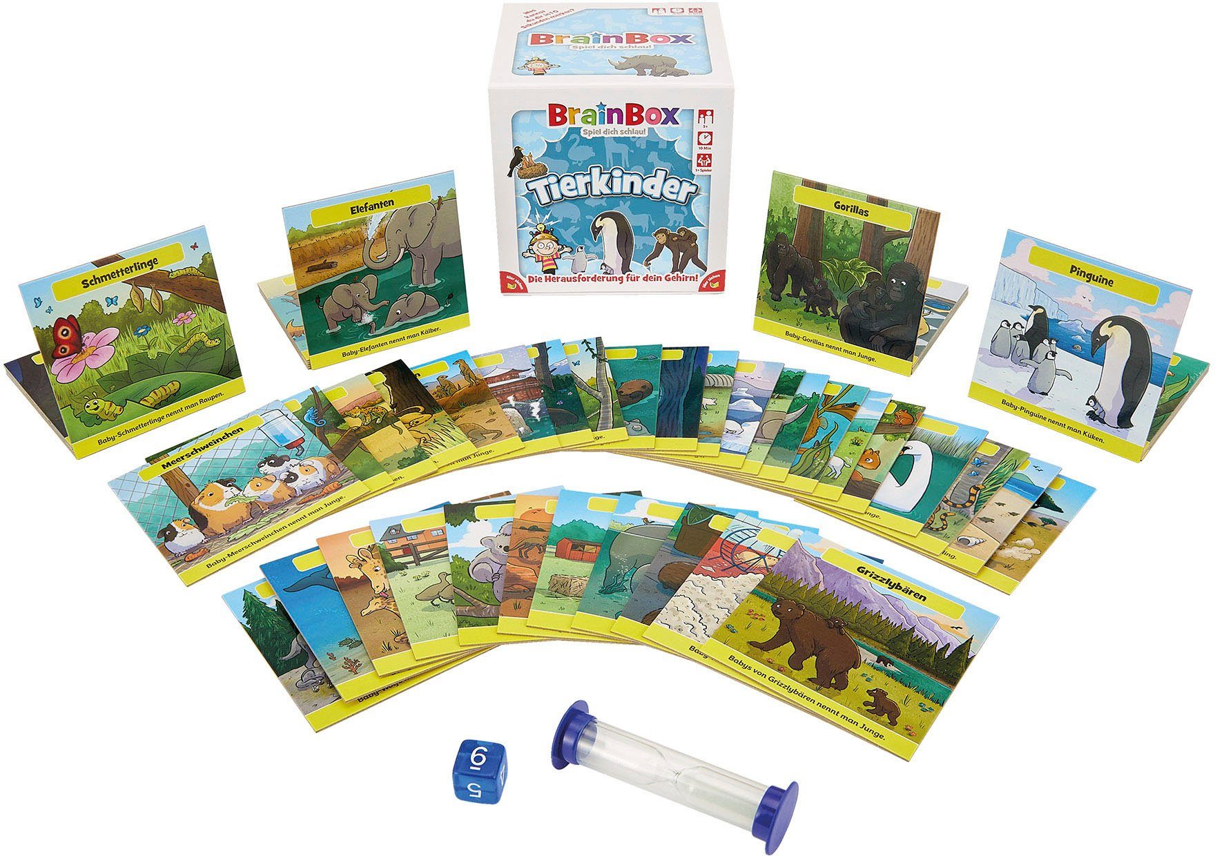 BrainBox Spiel Tierkinder