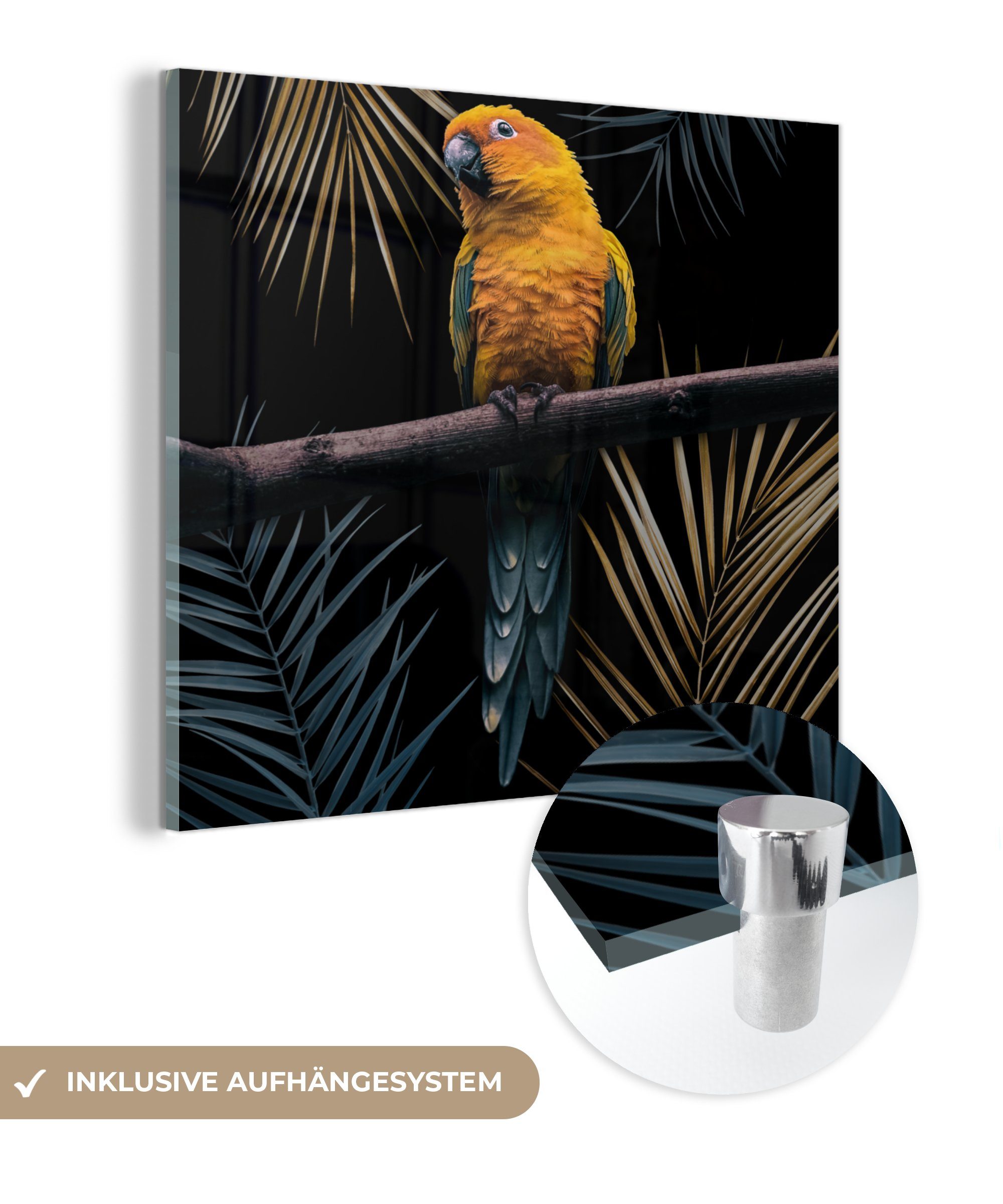 MuchoWow Acrylglasbild Vogel Wanddekoration (1 Papagei Bilder Glas - St), Zweig Wandbild Foto Blätter, - - - auf - auf Glasbilder Glas 