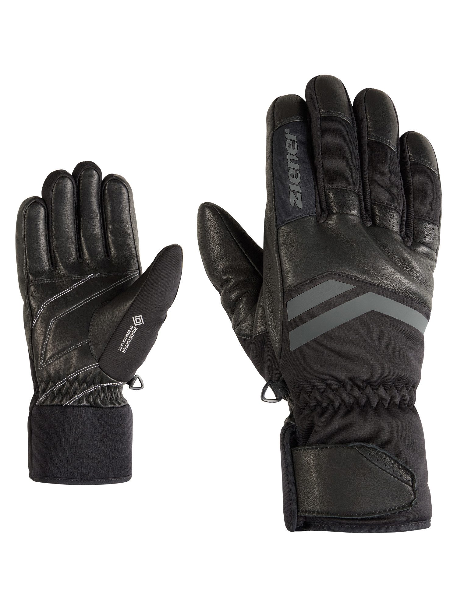 Skihandschuhe GUDWIG-Z WS PR glove man