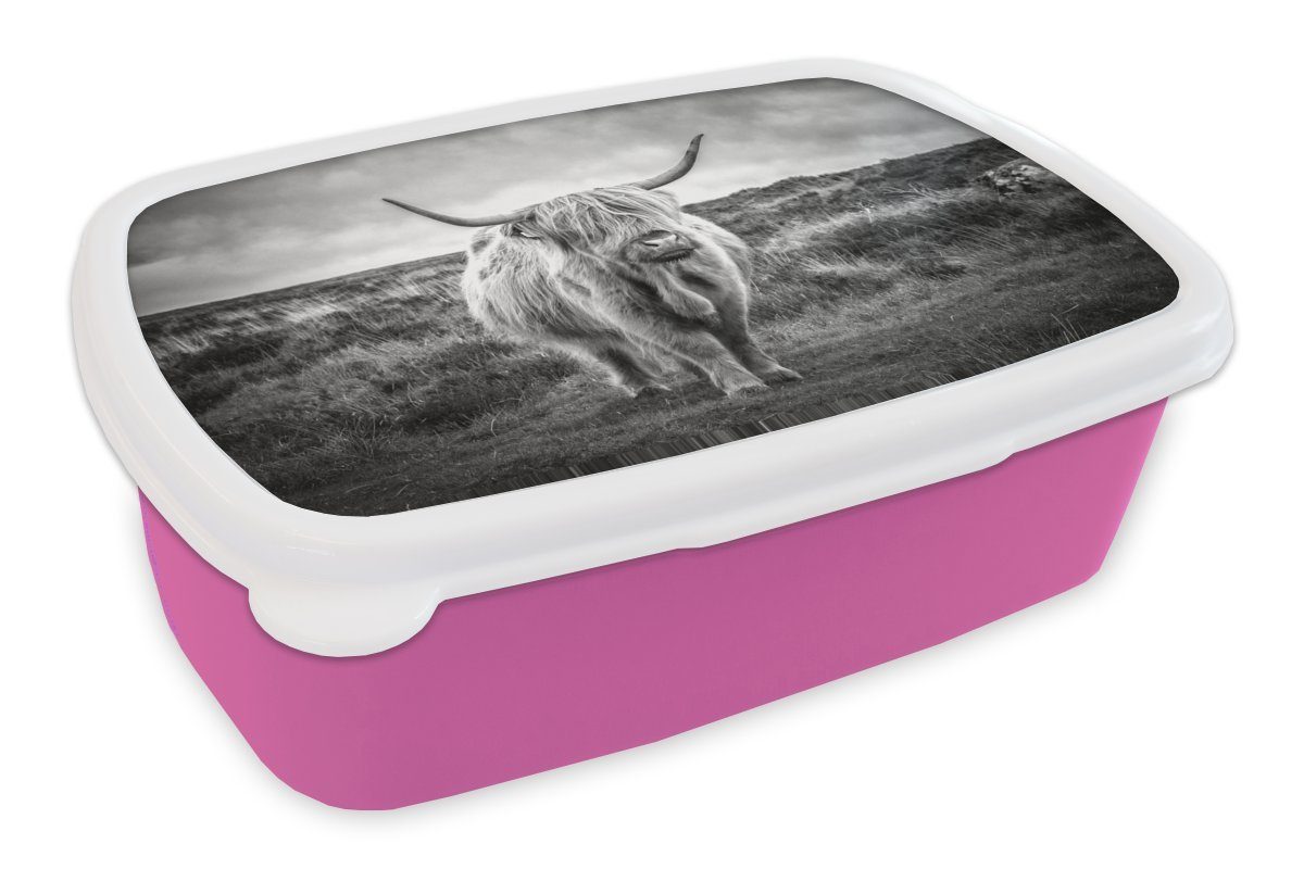 Brotdose Lunchbox - - Schottischer Kinder, Kunststoff, rosa Mädchen, Kunststoff Natur, - Erwachsene, - Snackbox, Brotbox für MuchoWow Wolken Kuh (2-tlg), Tiere Hochländer