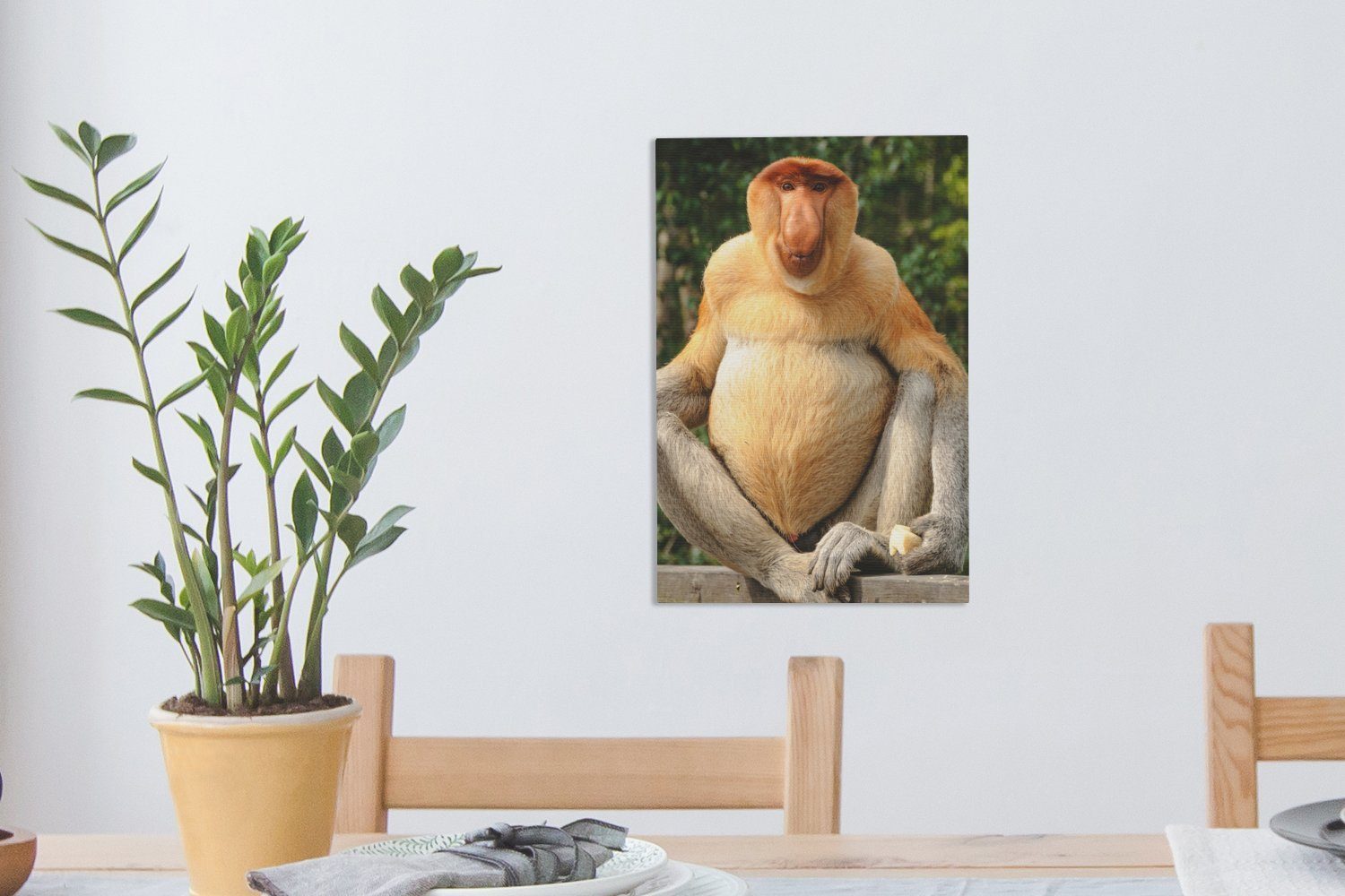 OneMillionCanvasses® Leinwandbild Ein Proboscis-Affe auf einem inkl. bespannt fertig Leinwandbild 20x30 St), Gemälde, (1 Zaun, Zackenaufhänger, cm