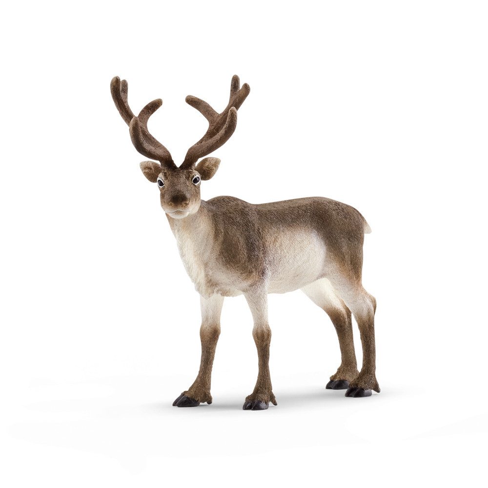 Schleich® Spielfigur schleich Wild Life Rentier 12cm