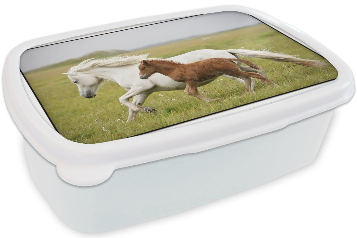 Erwachsene, und Lunchbox Tiere Brotdose, für weiß Pferde Gras, Mädchen für Jungs (2-tlg), MuchoWow Kinder und Kunststoff, - Brotbox -