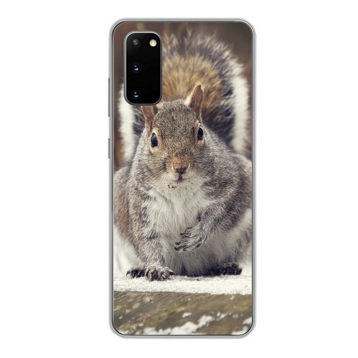 MuchoWow Handyhülle Eichhörnchen - Wildtier - Winter Phone Case Handyhülle Samsung Galaxy S20 Silikon Schutzhülle