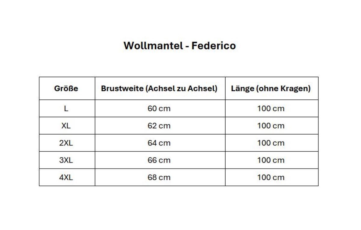 Hollert Wintermantel Mantel aus Kaschmir & Wolle Federico