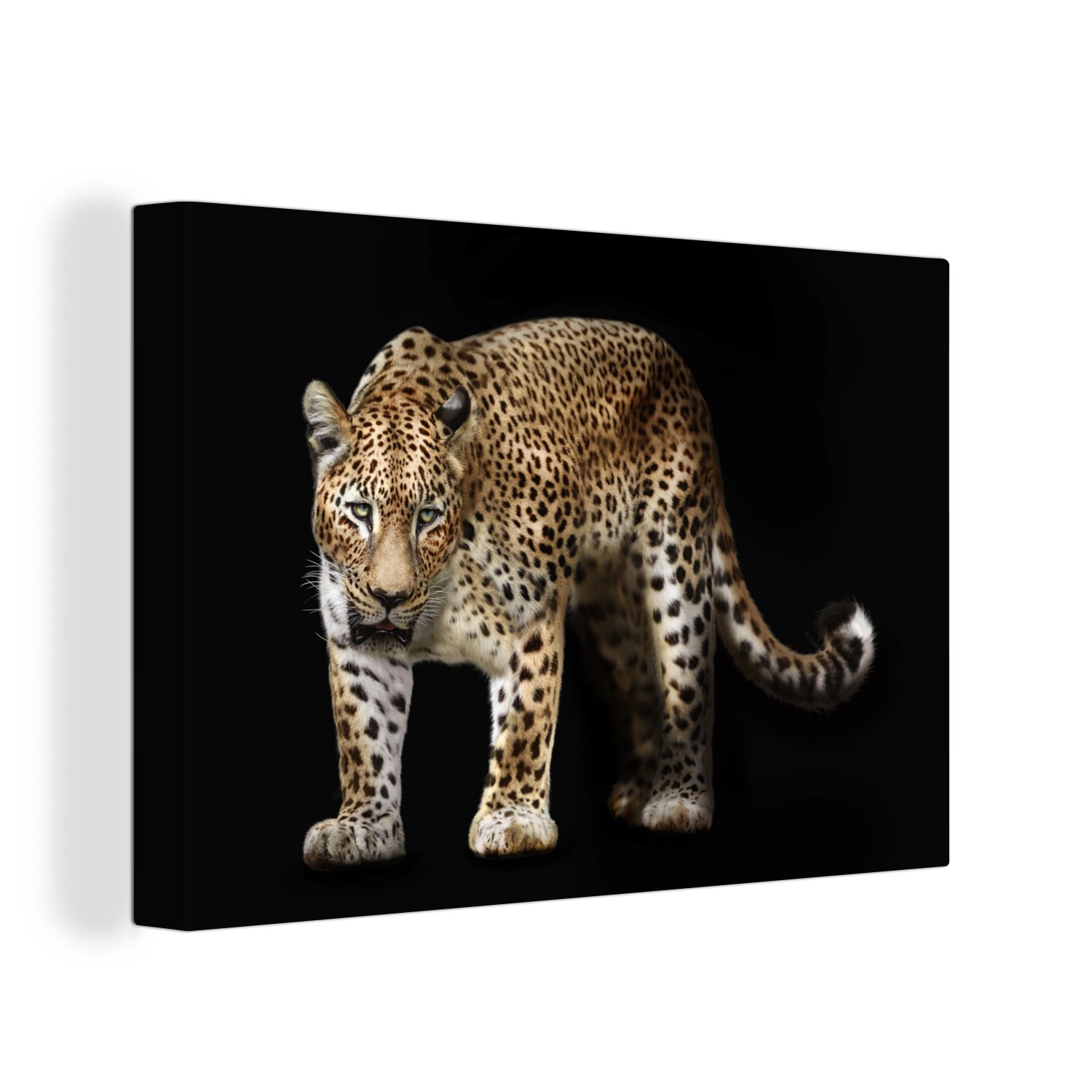 OneMillionCanvasses® Leinwandbild Leopard - Wild - St), Wandbild 30x20 cm (1 Schwarz, Wanddeko, Aufhängefertig, Leinwandbilder