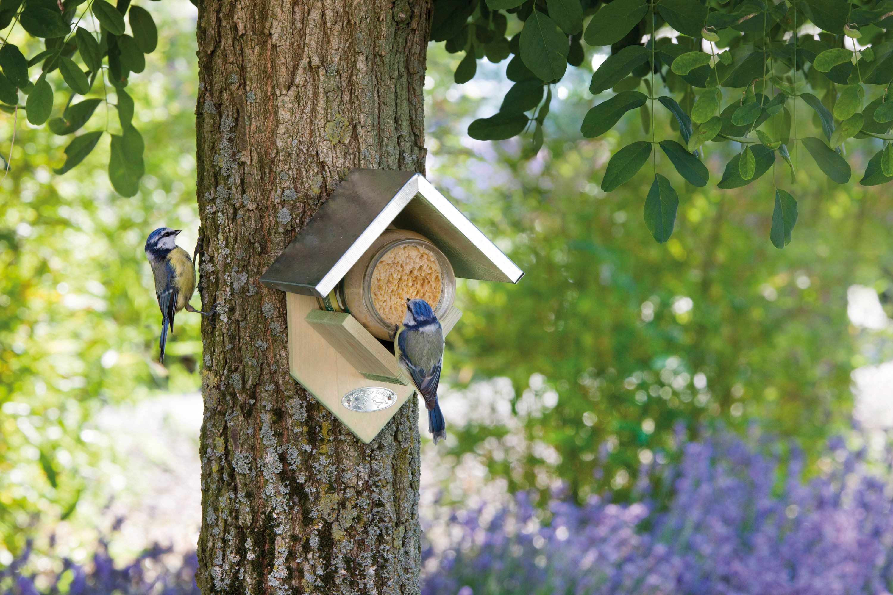 esschert design Nistkasten Vogelhaus Futterhaus Erdnussbutter Haus Holz Zink Dach Halterung