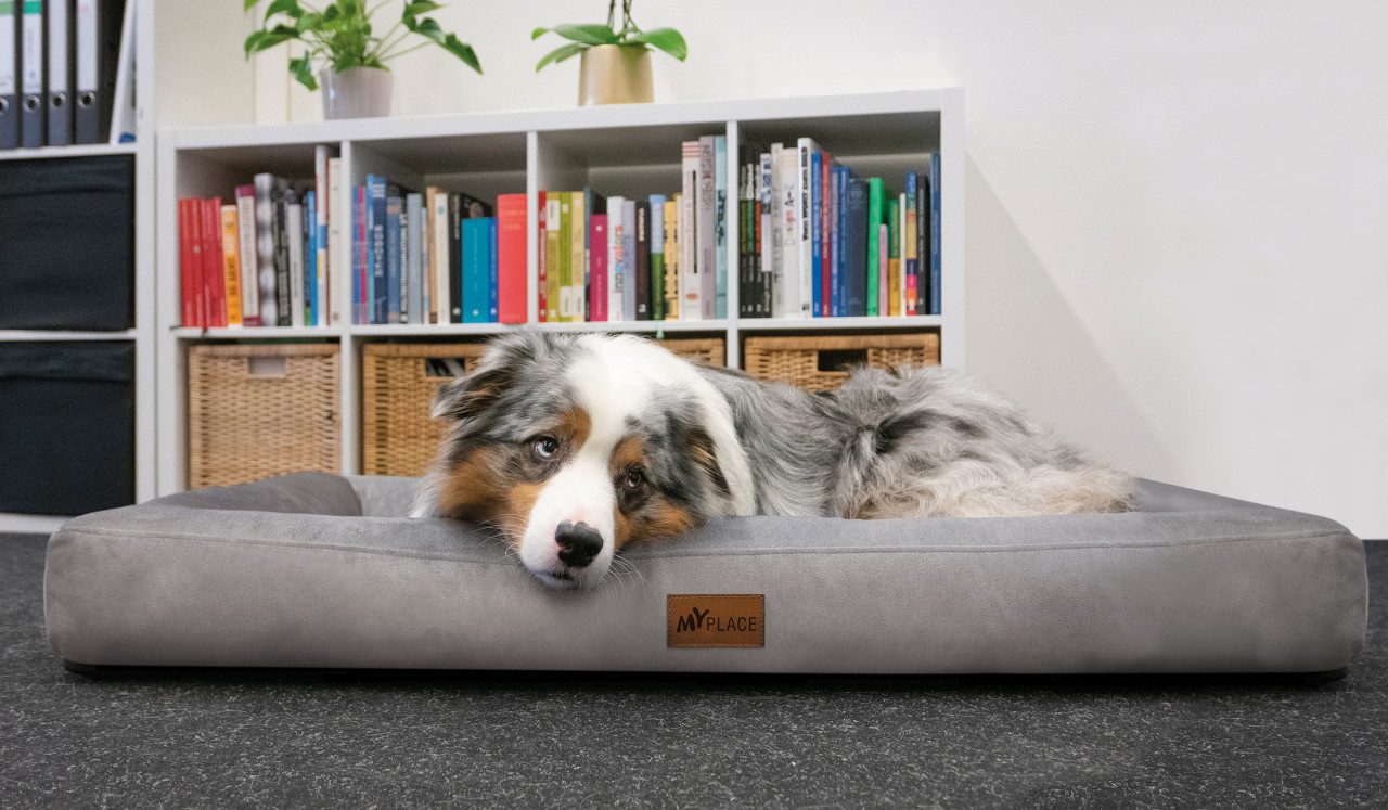 Thumbnail - MYPLACE Tierbett MyPlace Hundebett Nora hellgrau