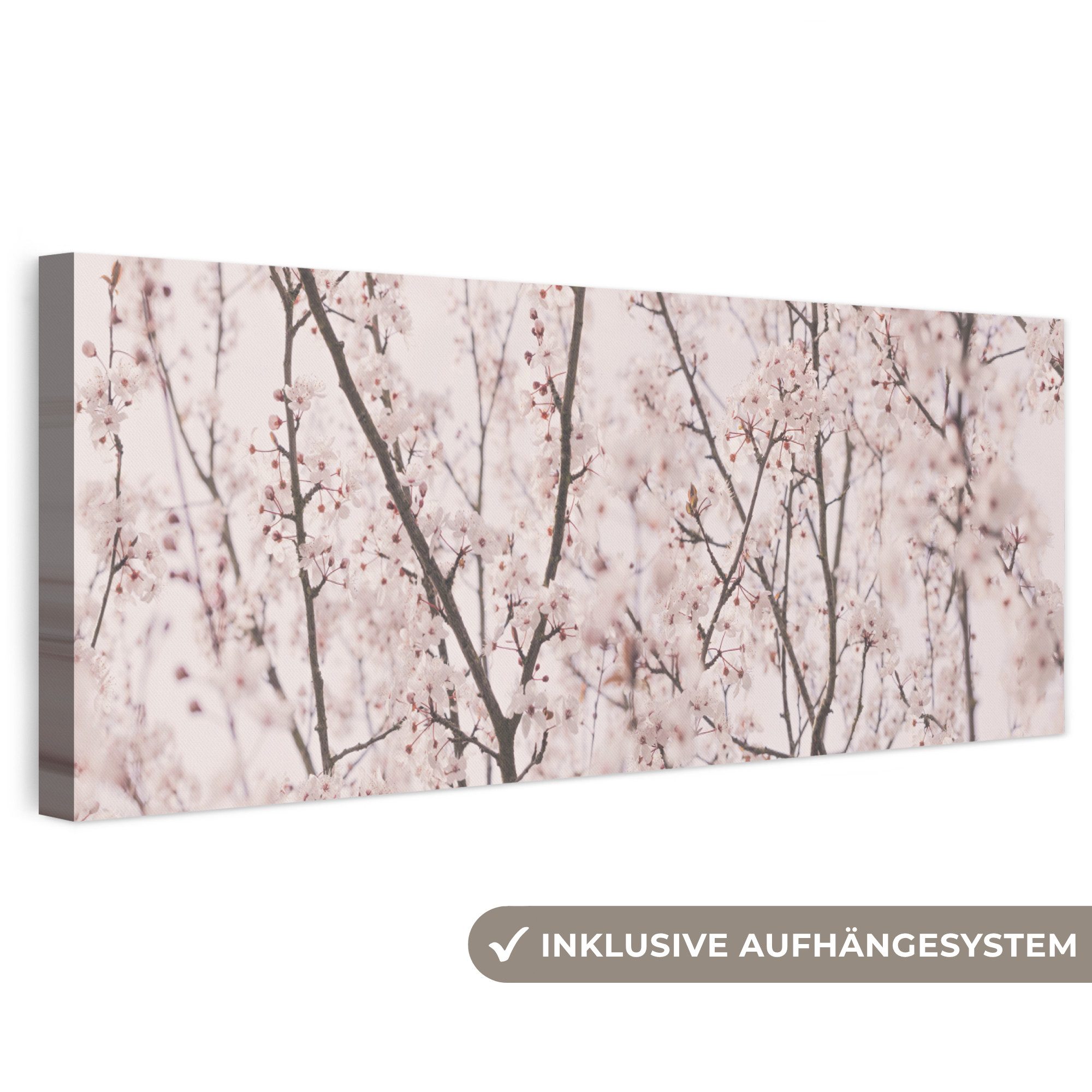 OneMillionCanvasses® Leinwandbild Panorama Blüte - Bäume - Äste - Natur - Rosa, Fotodruck (1 St), Wandbild, Deko Schlafzimmer Wohnzimmer Flur 60x20 cm