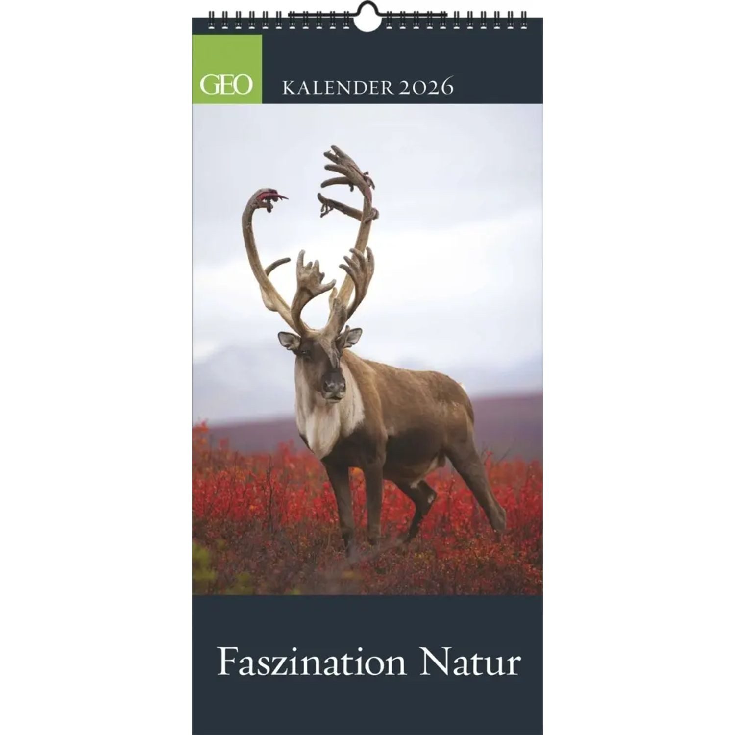 GEO Wandkalender GEO - Faszination Natur 2026 - Wandkalender 22x45 cm, 12...